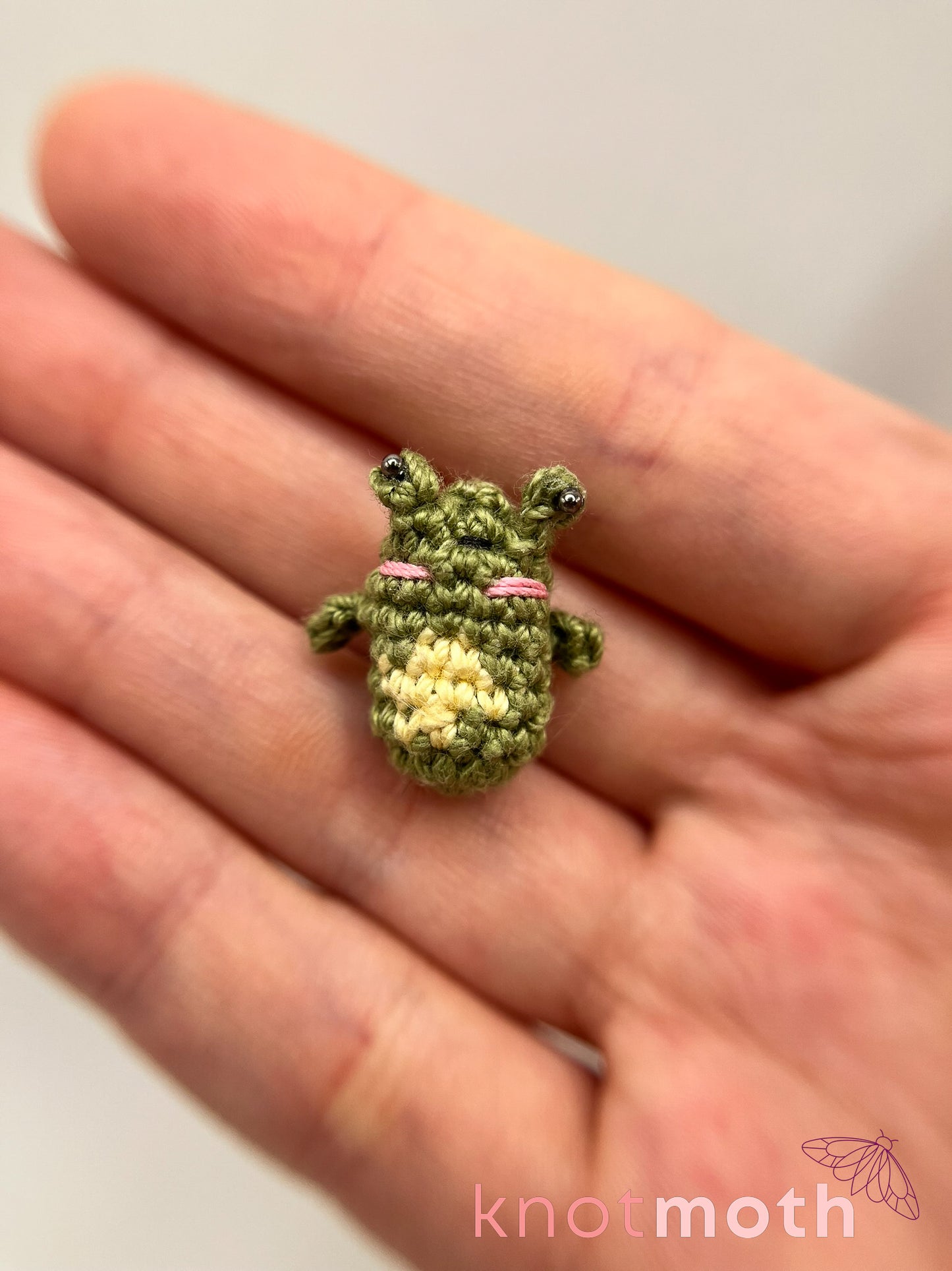 paco frog trinket jar