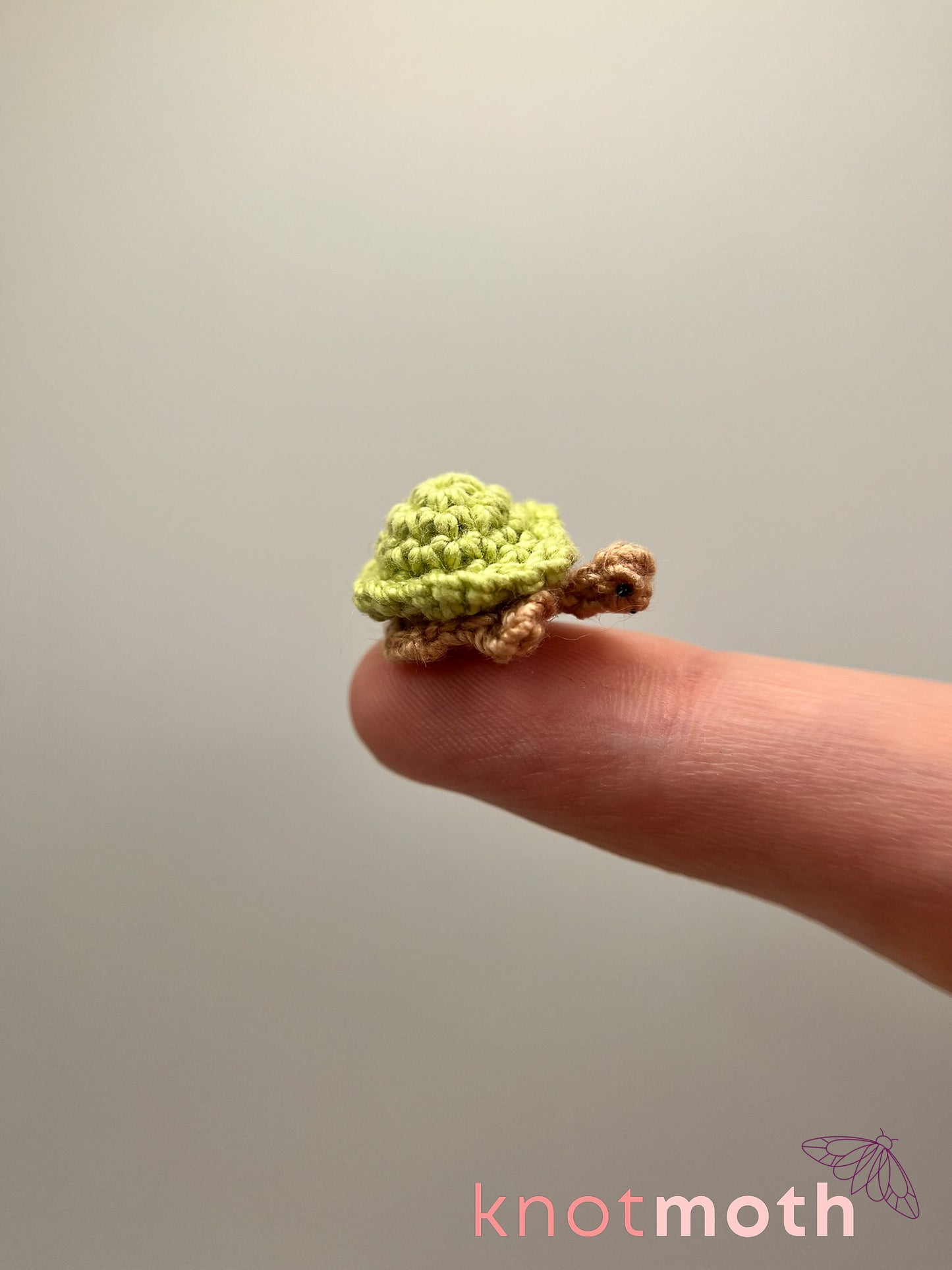 Terra Turtle Micro Crochet Trinket Jar