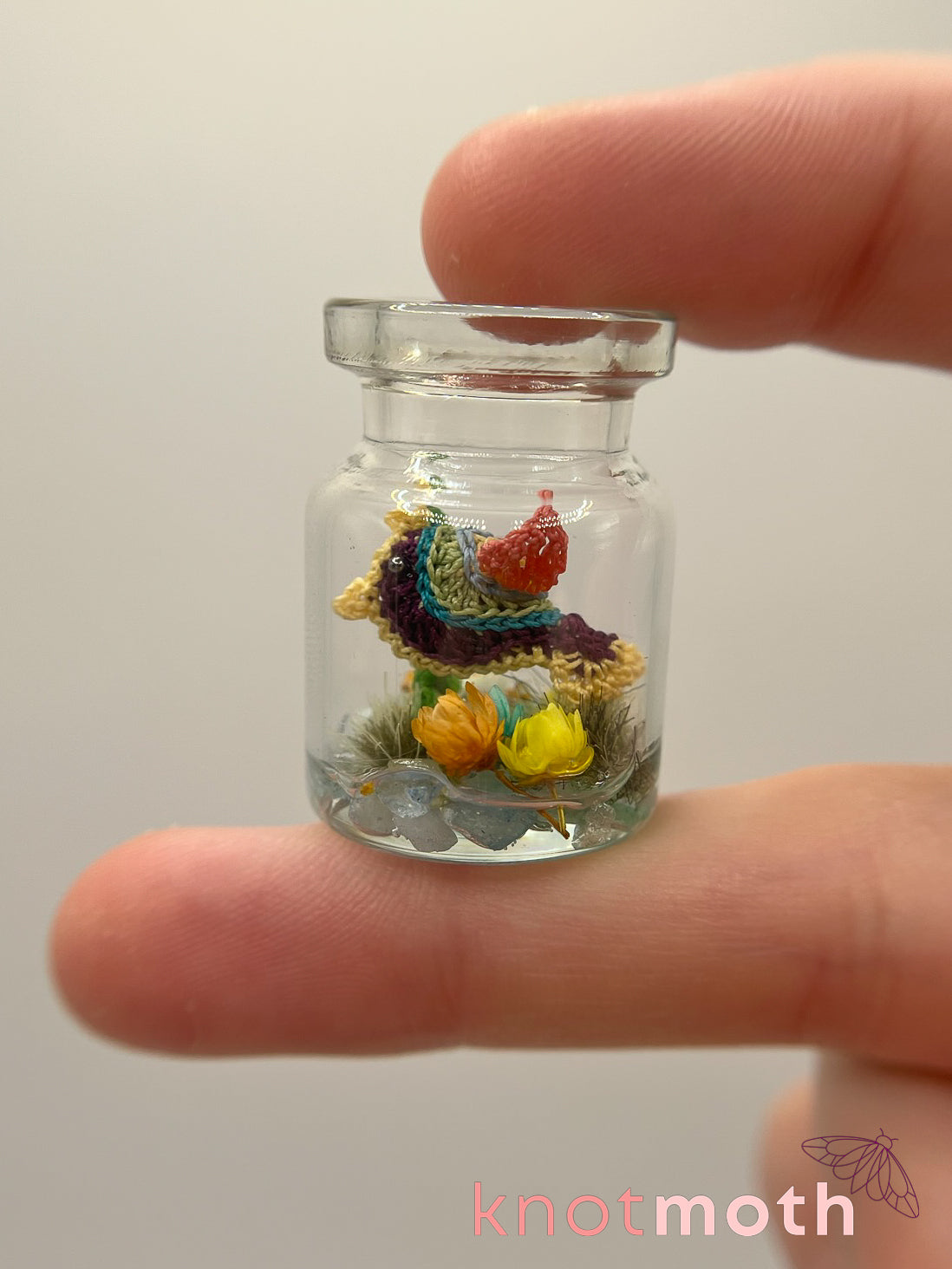 birdie bird trinket jar