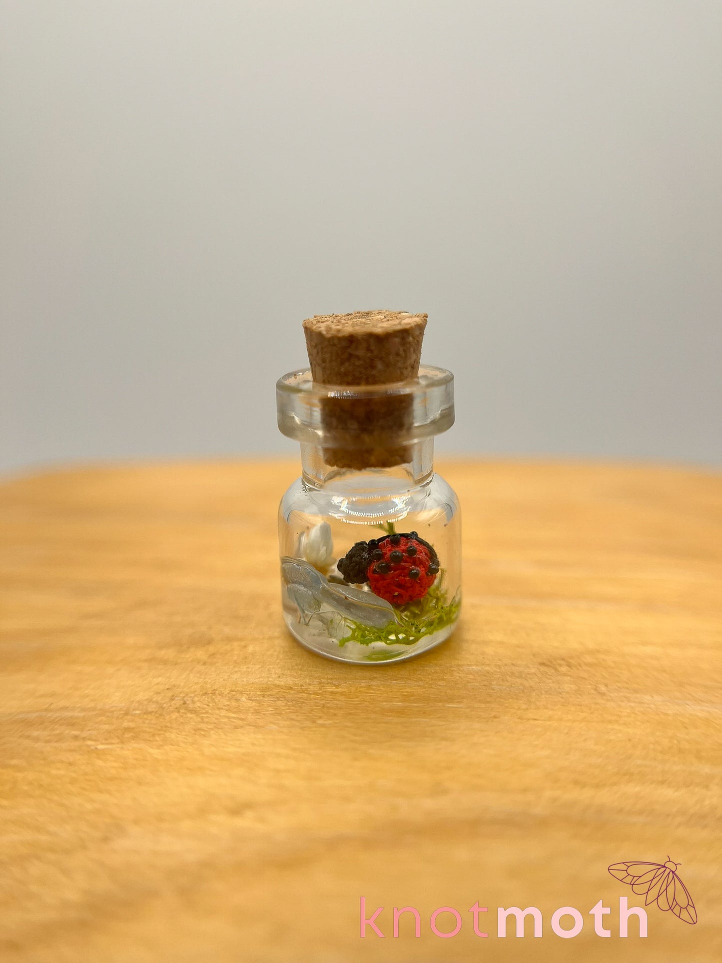 lainey ladybug trinket jar