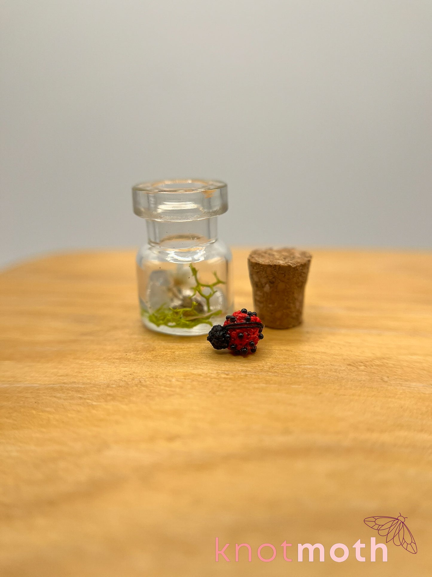 lainey ladybug trinket jar
