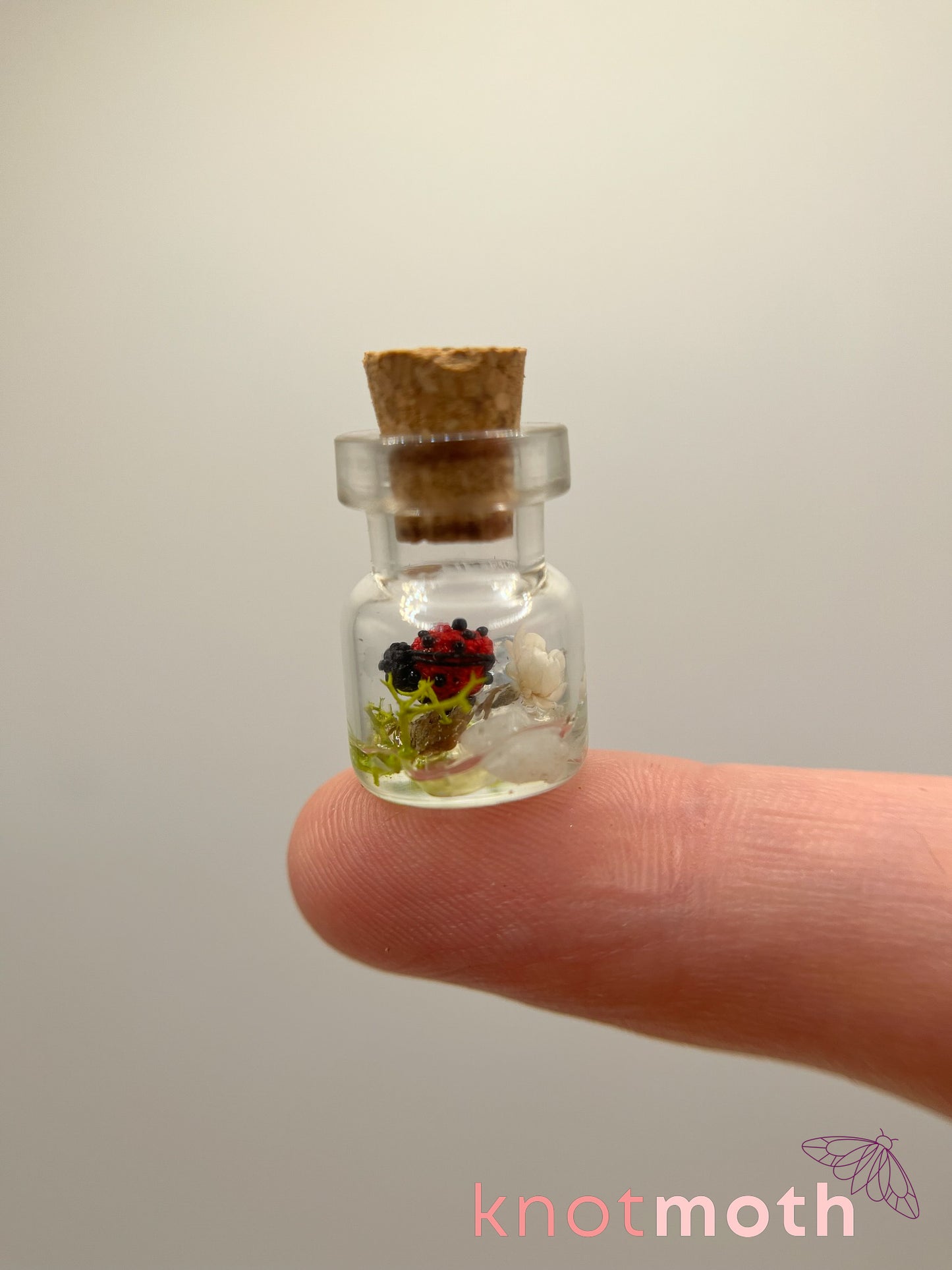 lainey ladybug trinket jar