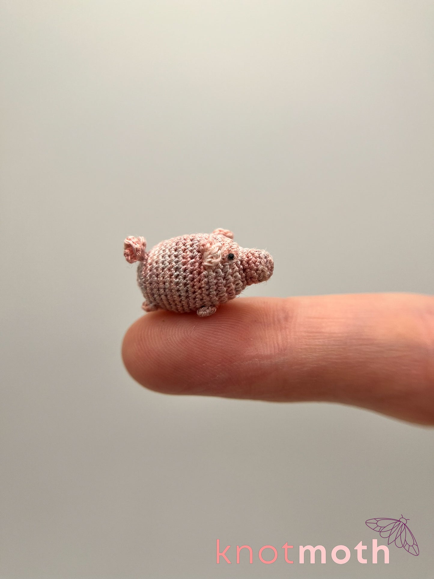 Poppy Pig Micro Crochet Trinket Tin