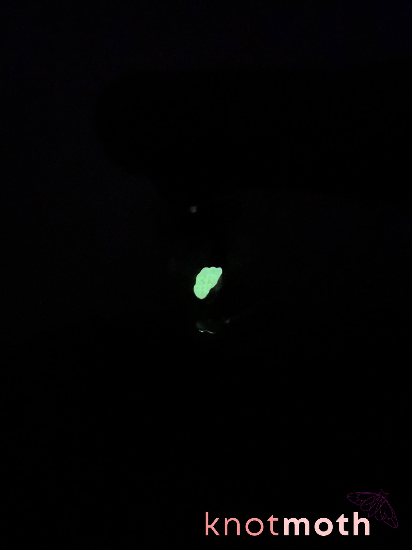 lucy lightning bug glow-in-the-dark trinket jar