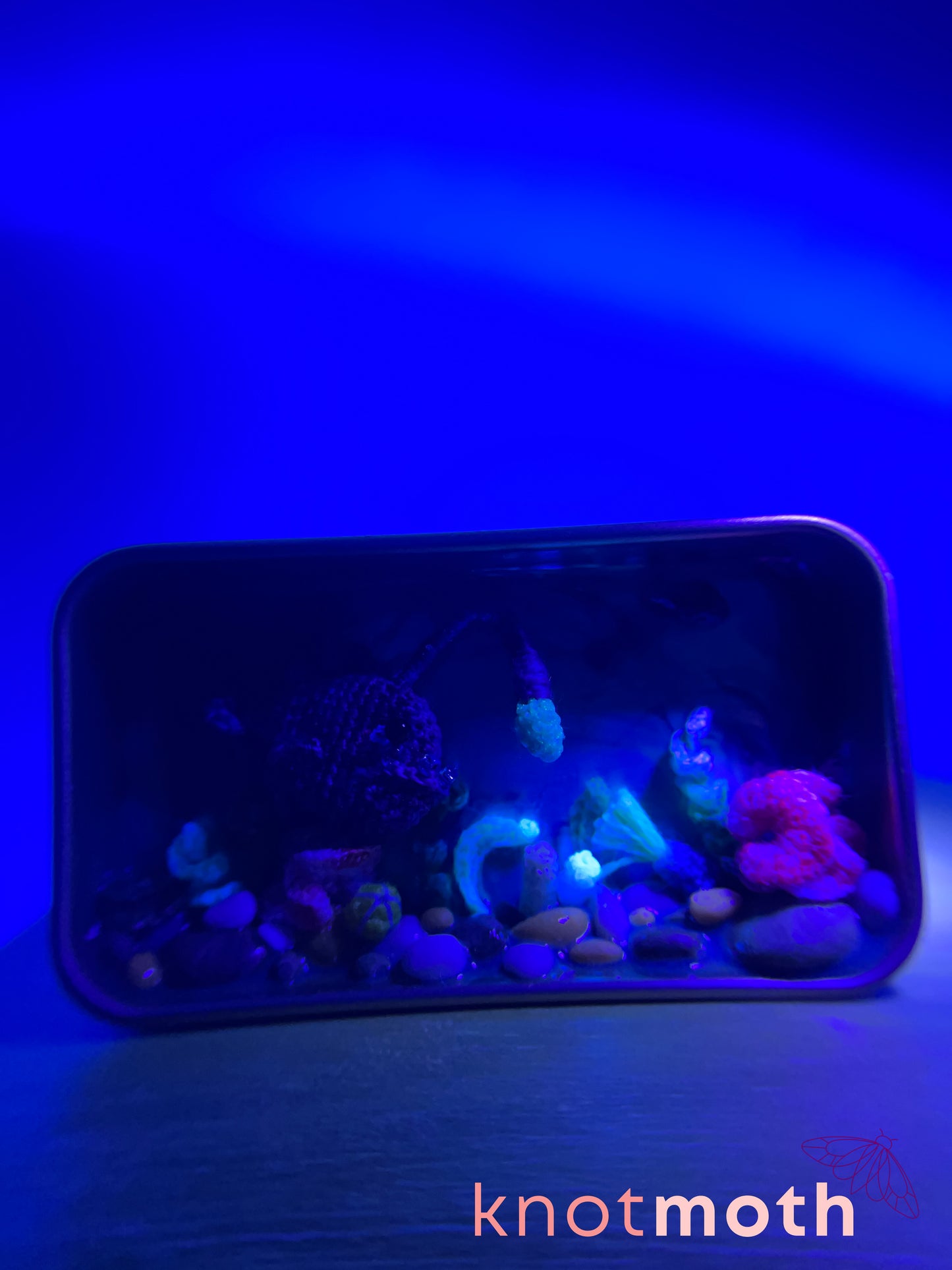 Angel & Algae Angler Fish and Coral Micro Crochet Trinket Tin