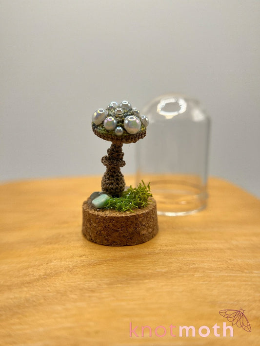 mushroom (pre-order)