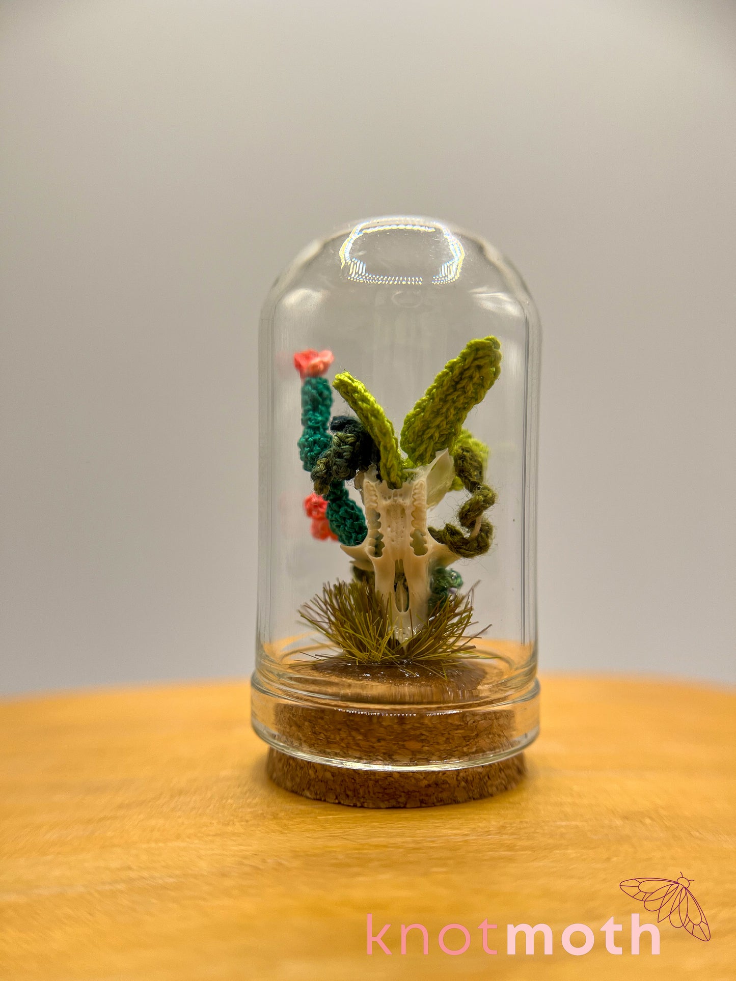 cacti skull micro crochet cloche jar