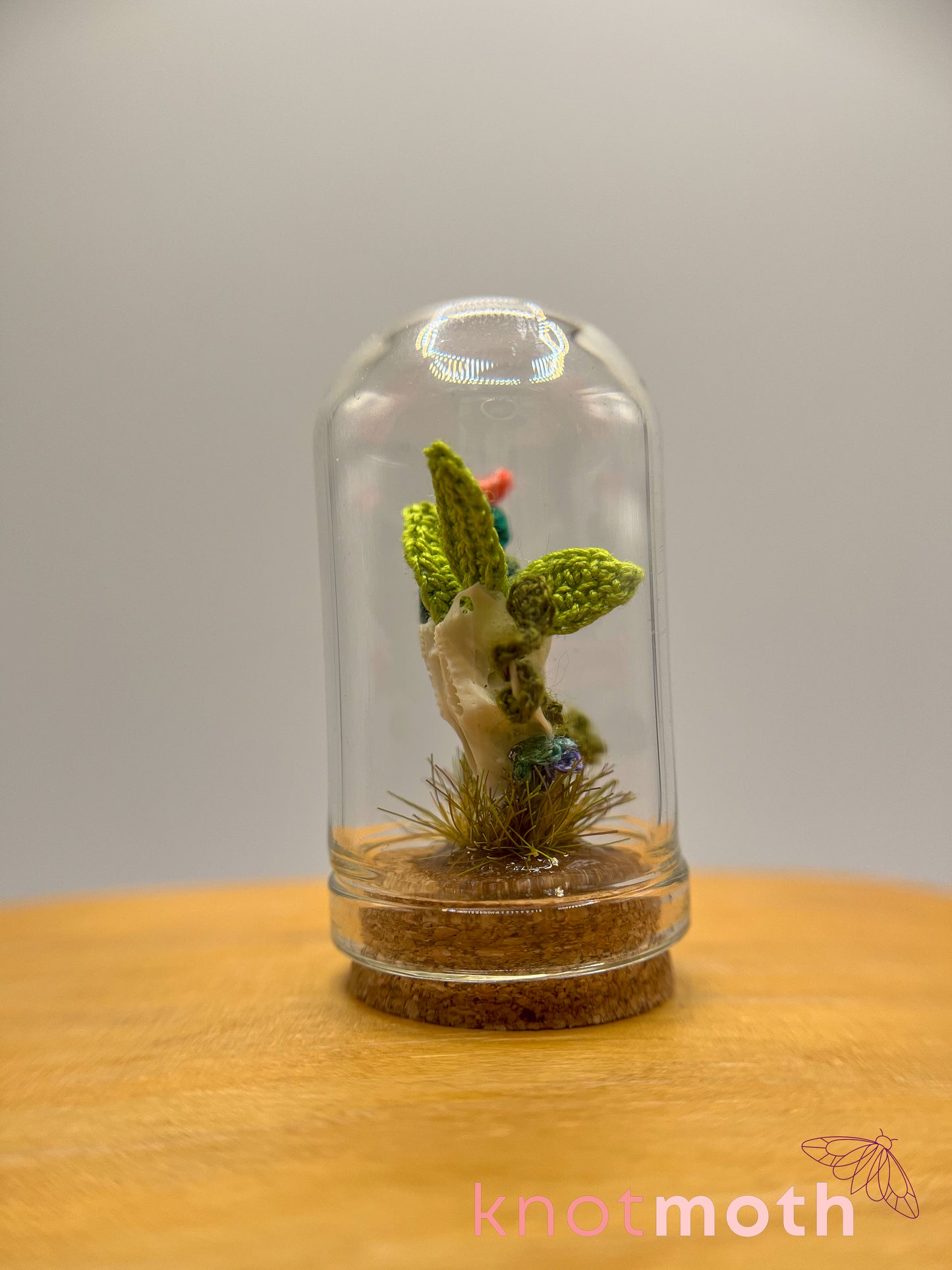 cacti skull micro crochet cloche jar