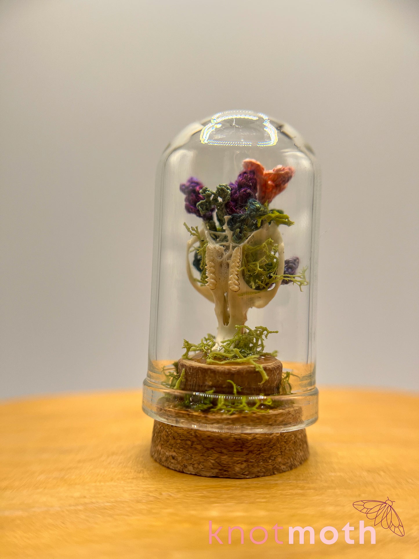 lavender & primrose skull micro crochet cloche jar