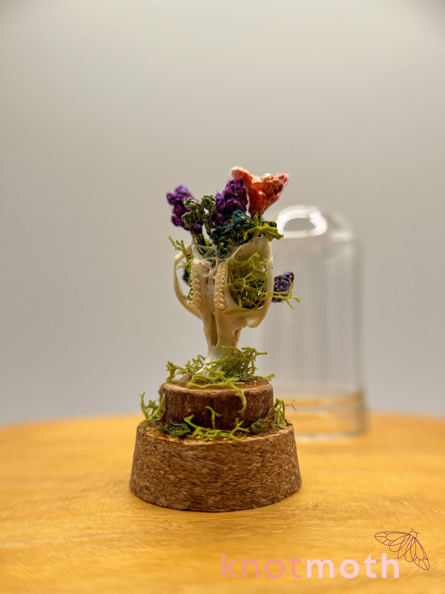 lavender & primrose skull micro crochet cloche jar