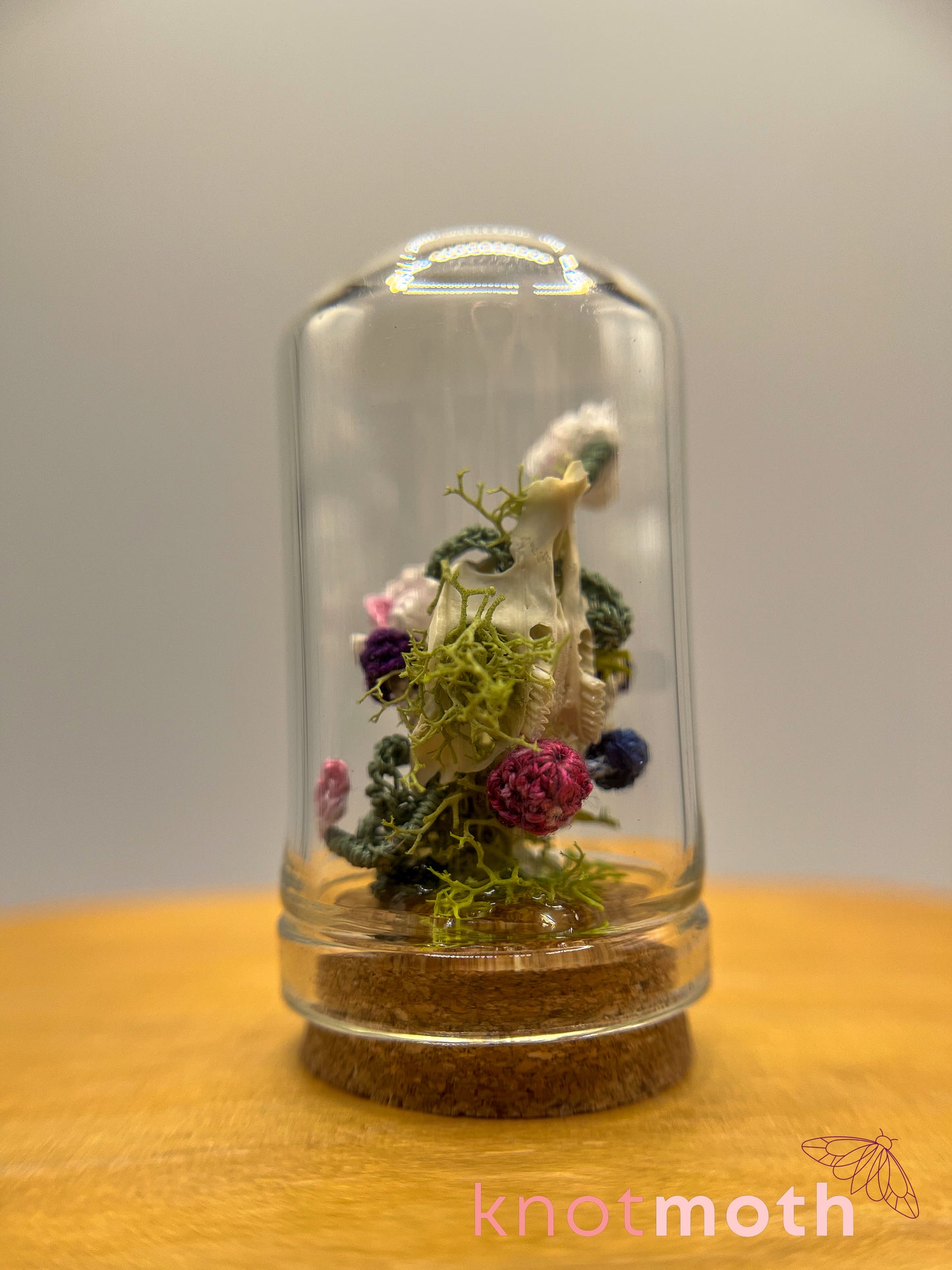 orchid & mushrooms skull micro crochet cloche jar
