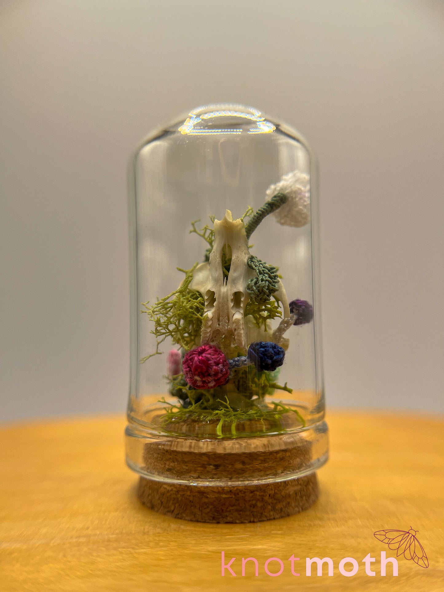 orchid & mushrooms skull micro crochet cloche jar