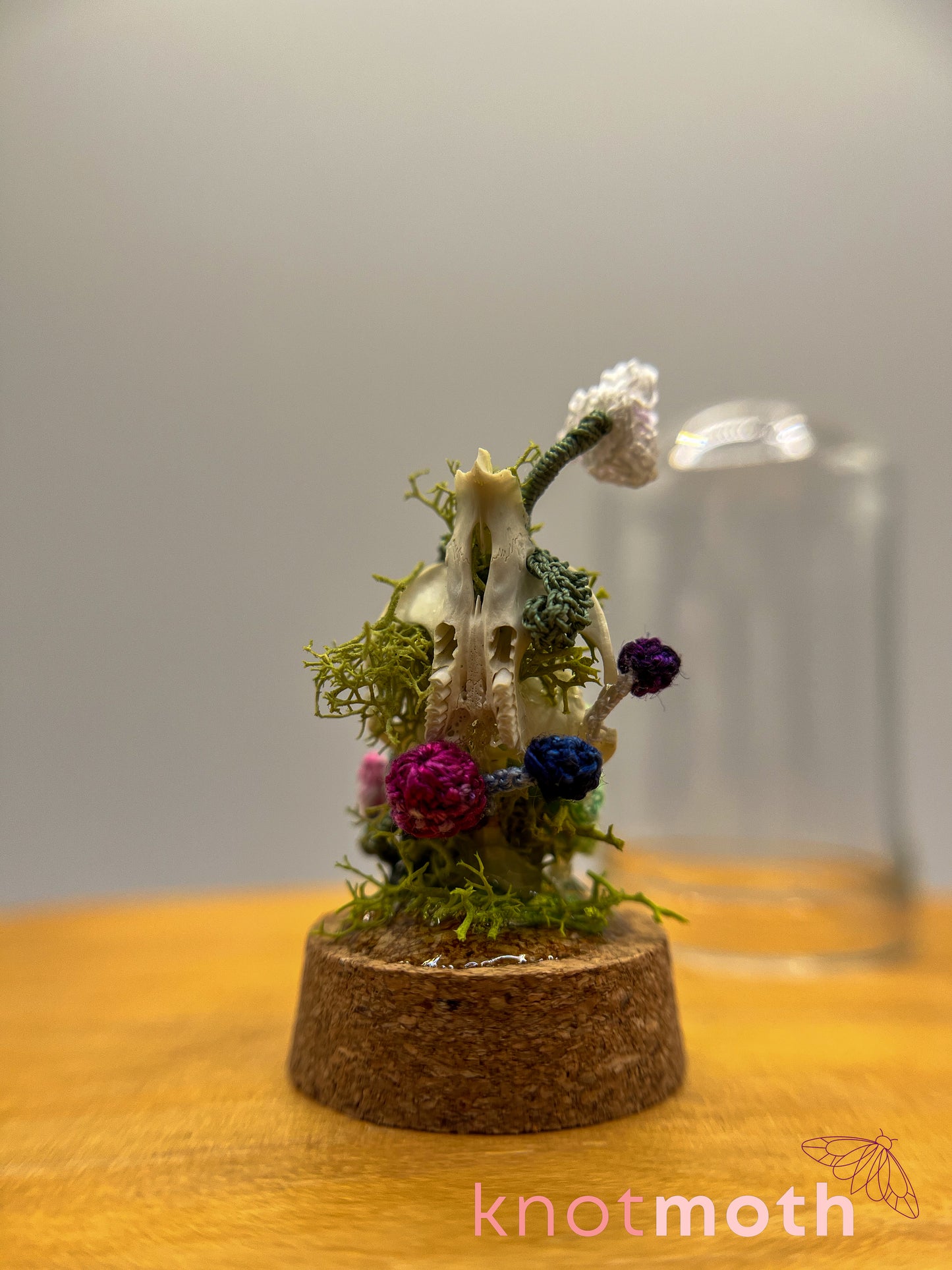 orchid & mushrooms skull micro crochet cloche jar