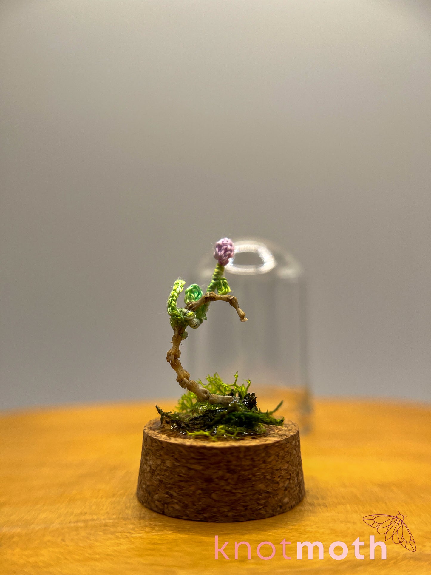 bloom & tailbone micro crochet cloche jar
