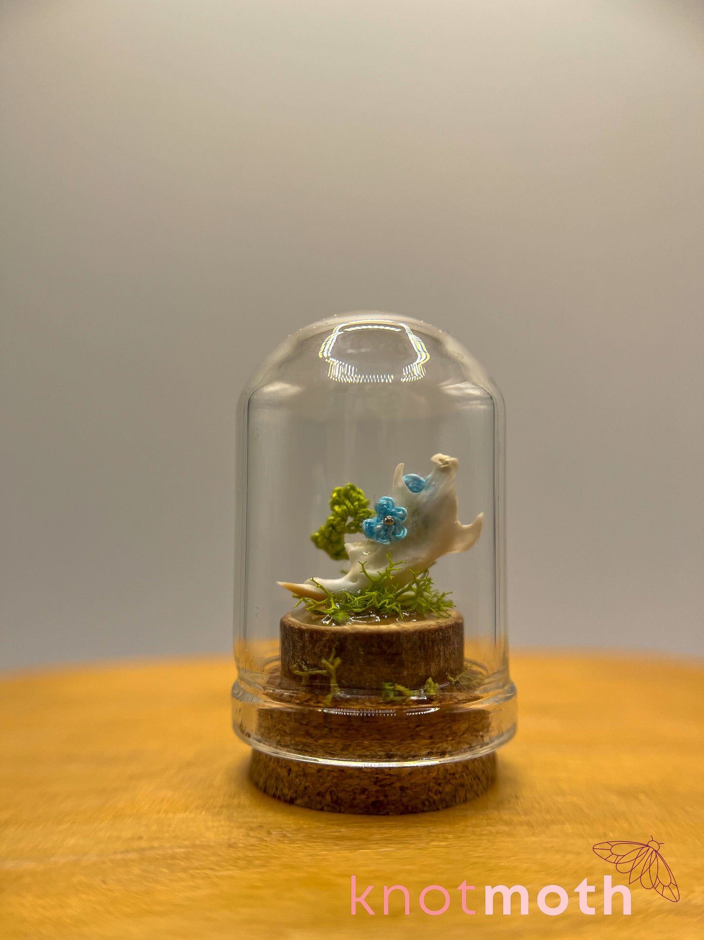 forget-me-not & jawbone micro crochet cloche jar