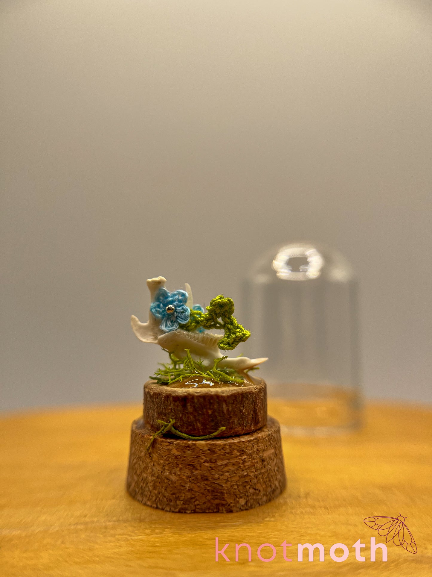 forget-me-not & jawbone micro crochet cloche jar