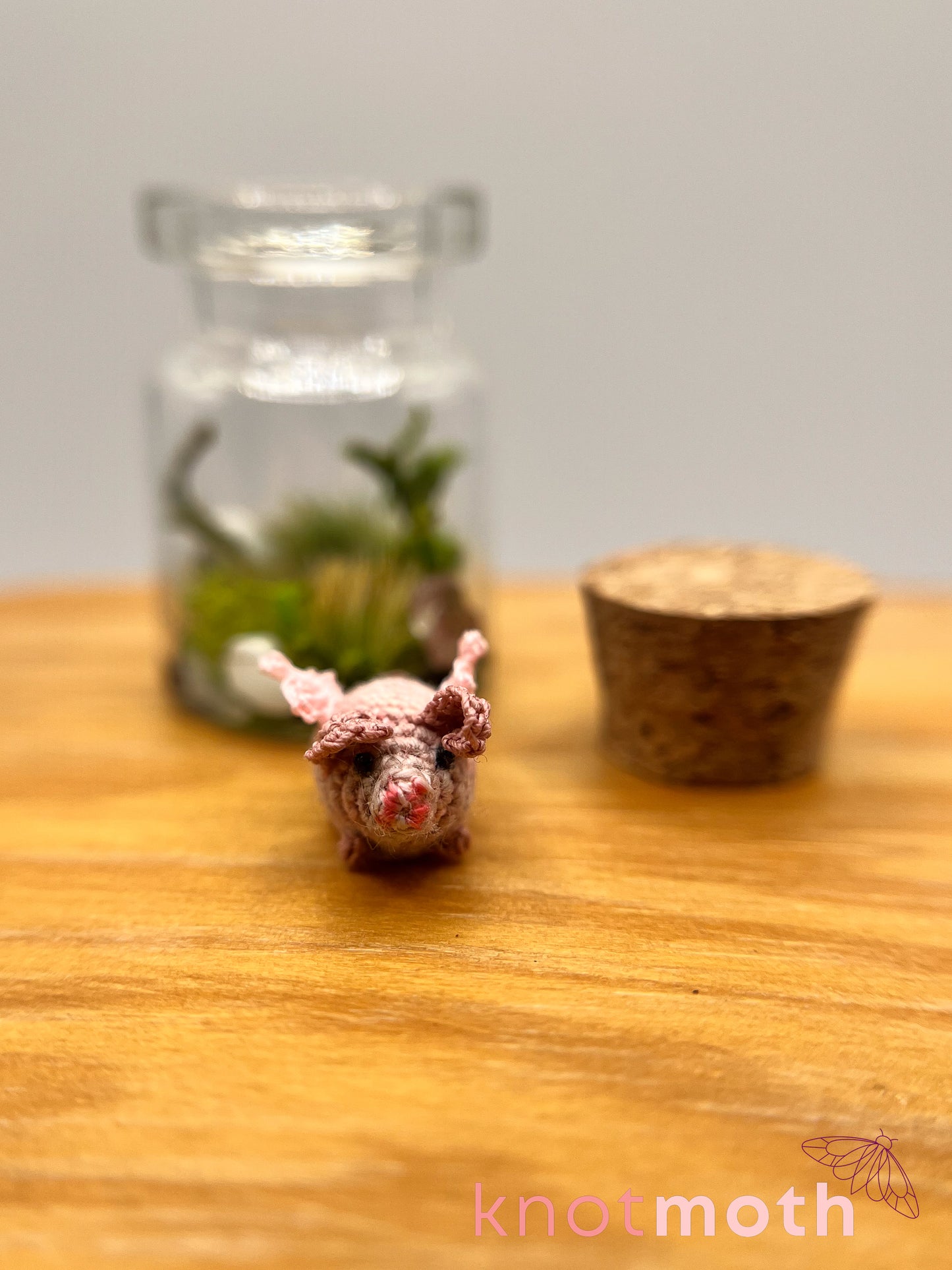 patrick flying pig micro crochet jar