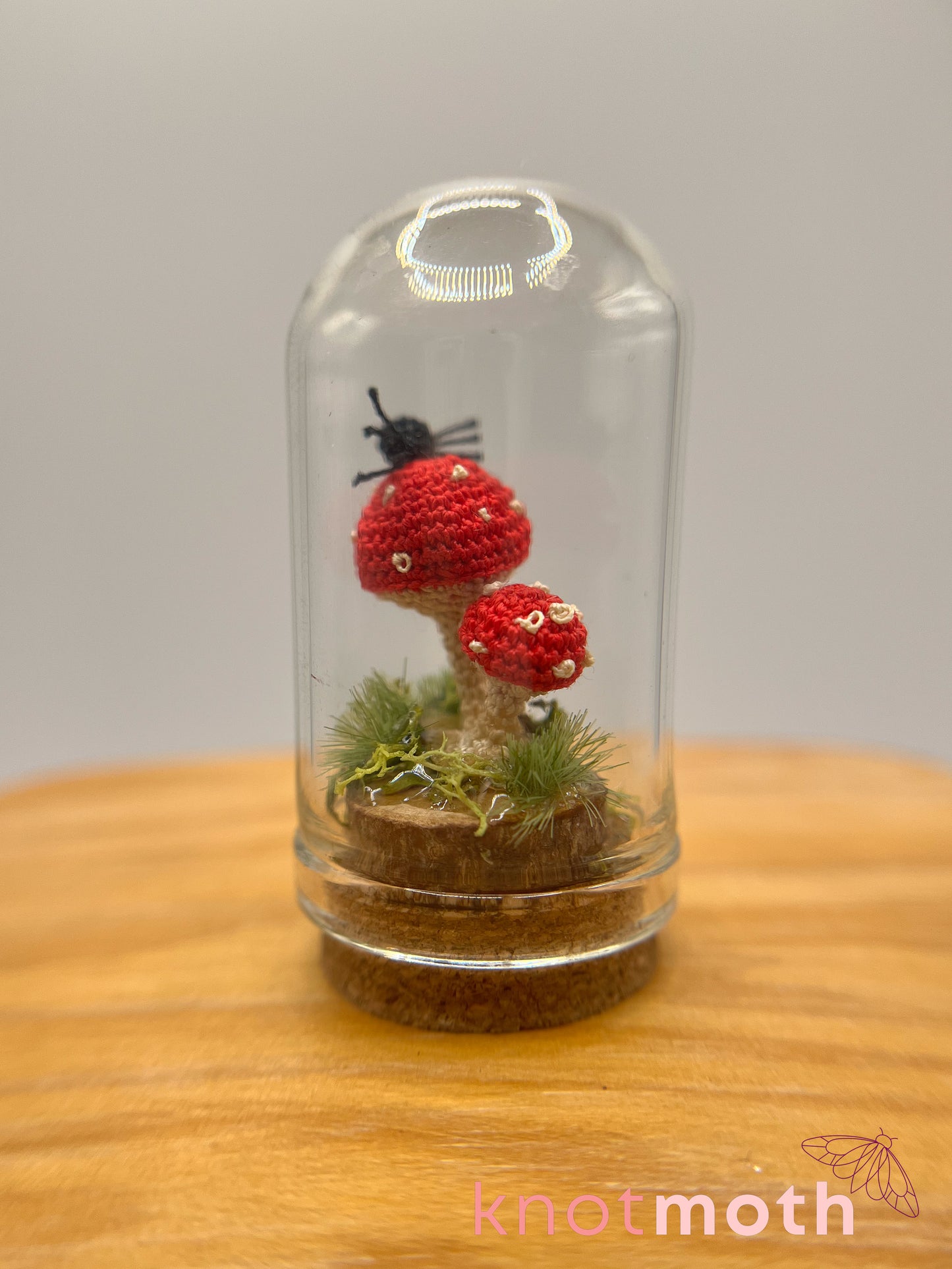 samara spider & mushrooms micro crochet cloche jar
