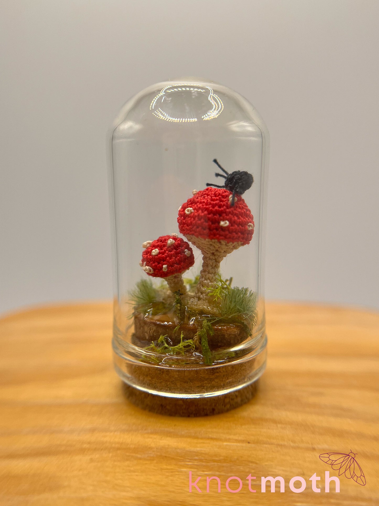 samara spider & mushrooms micro crochet cloche jar