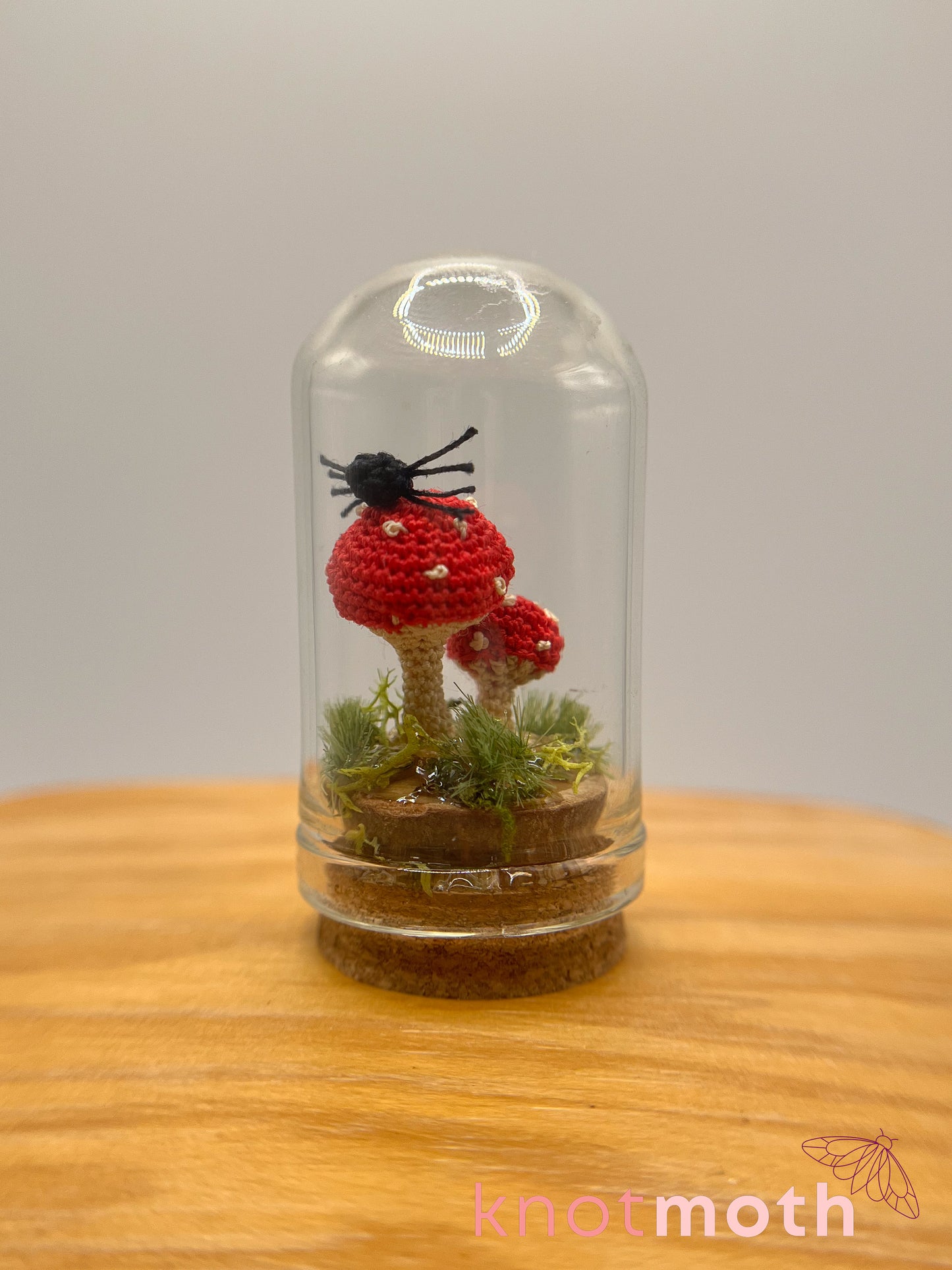 samara spider & mushrooms micro crochet cloche jar