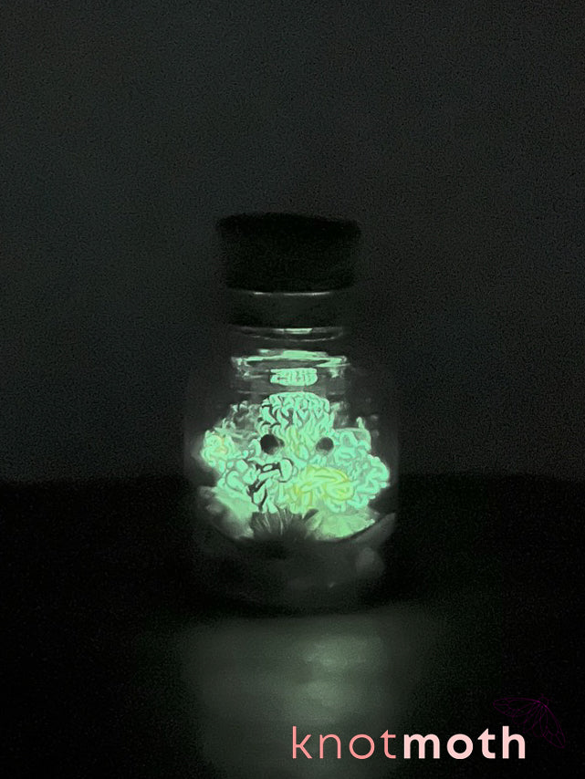 cadence octopus glow-in-the-dark micro crochet jar