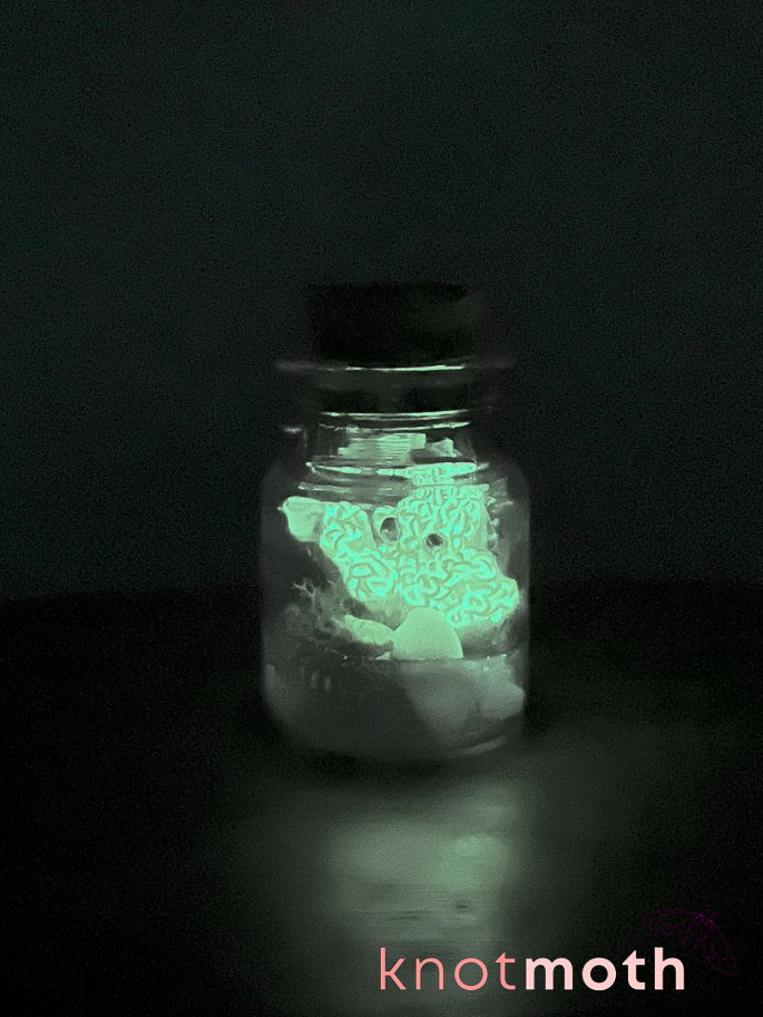 tory octopus glow-in-the-dark micro crochet jar