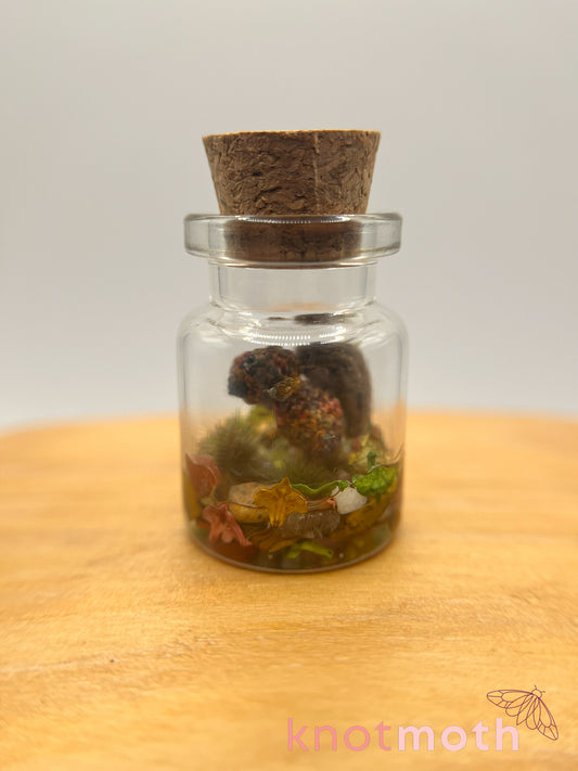 squirrel (pre-order)