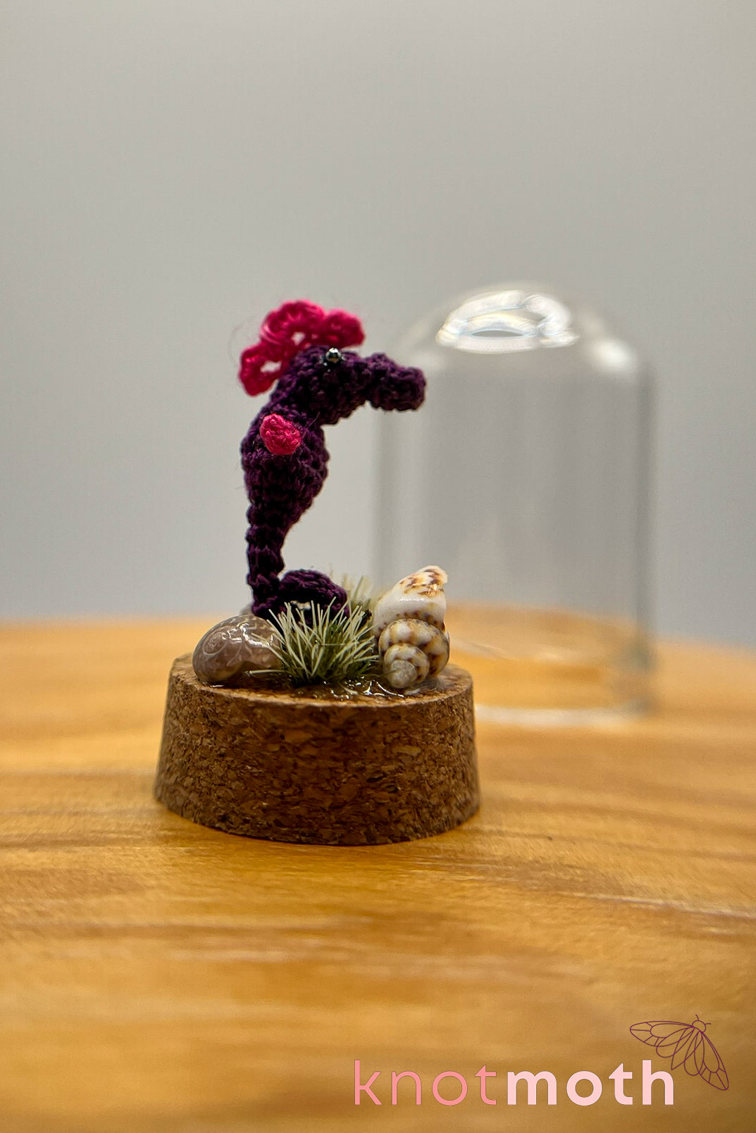 sammy seahorse trinket jar