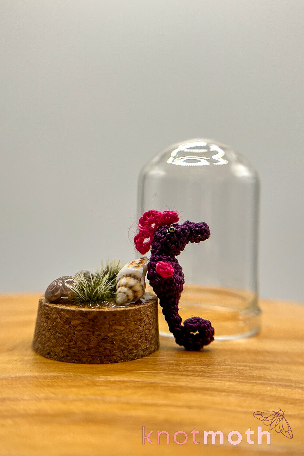 sammy seahorse trinket jar