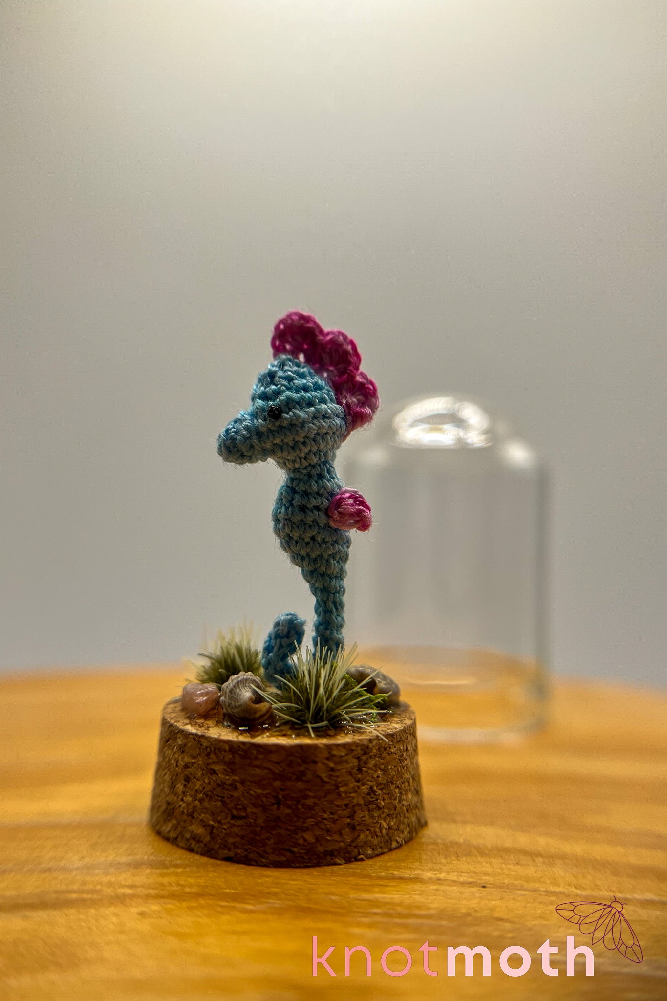 sasha seahorse trinket jar
