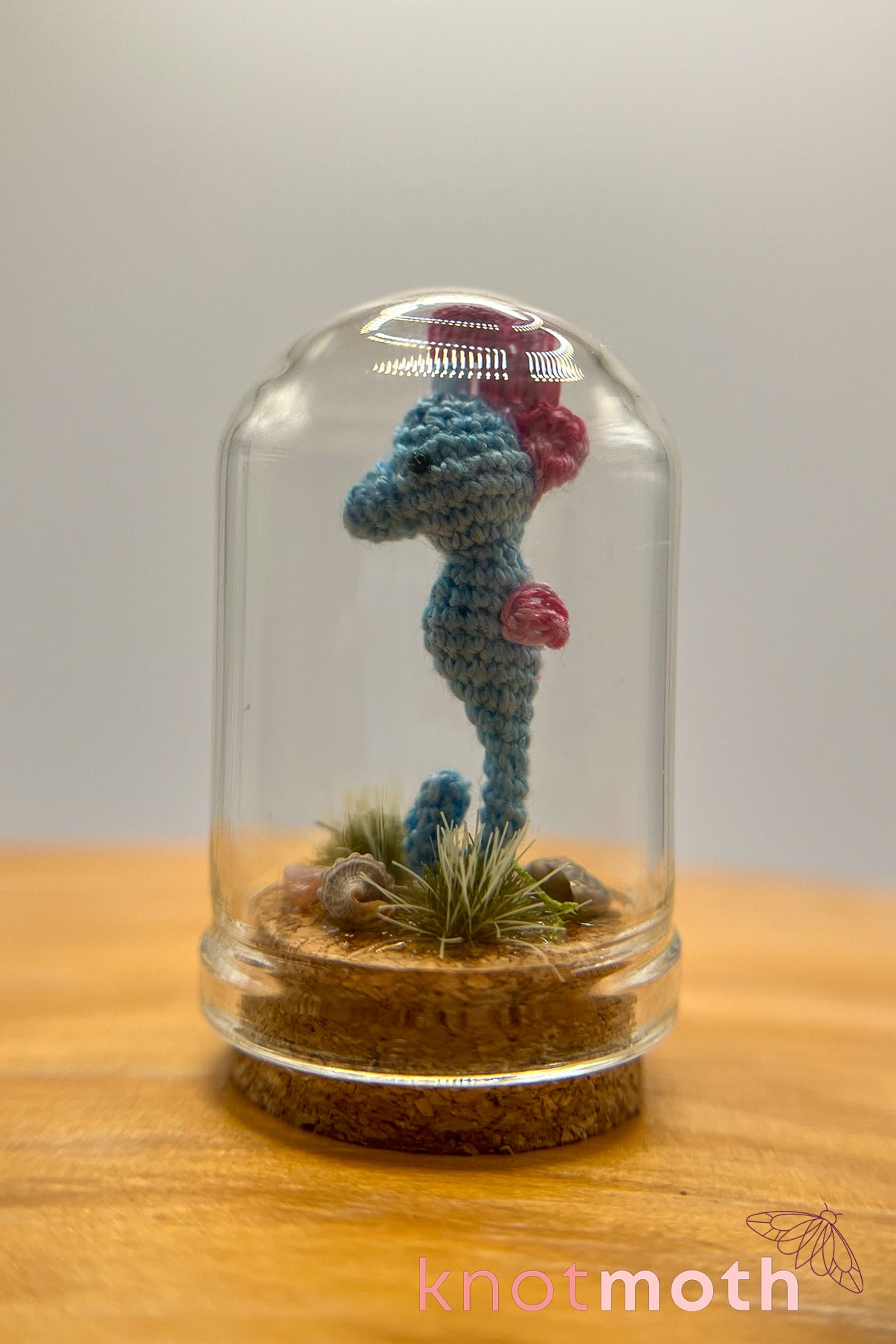 sasha seahorse trinket jar