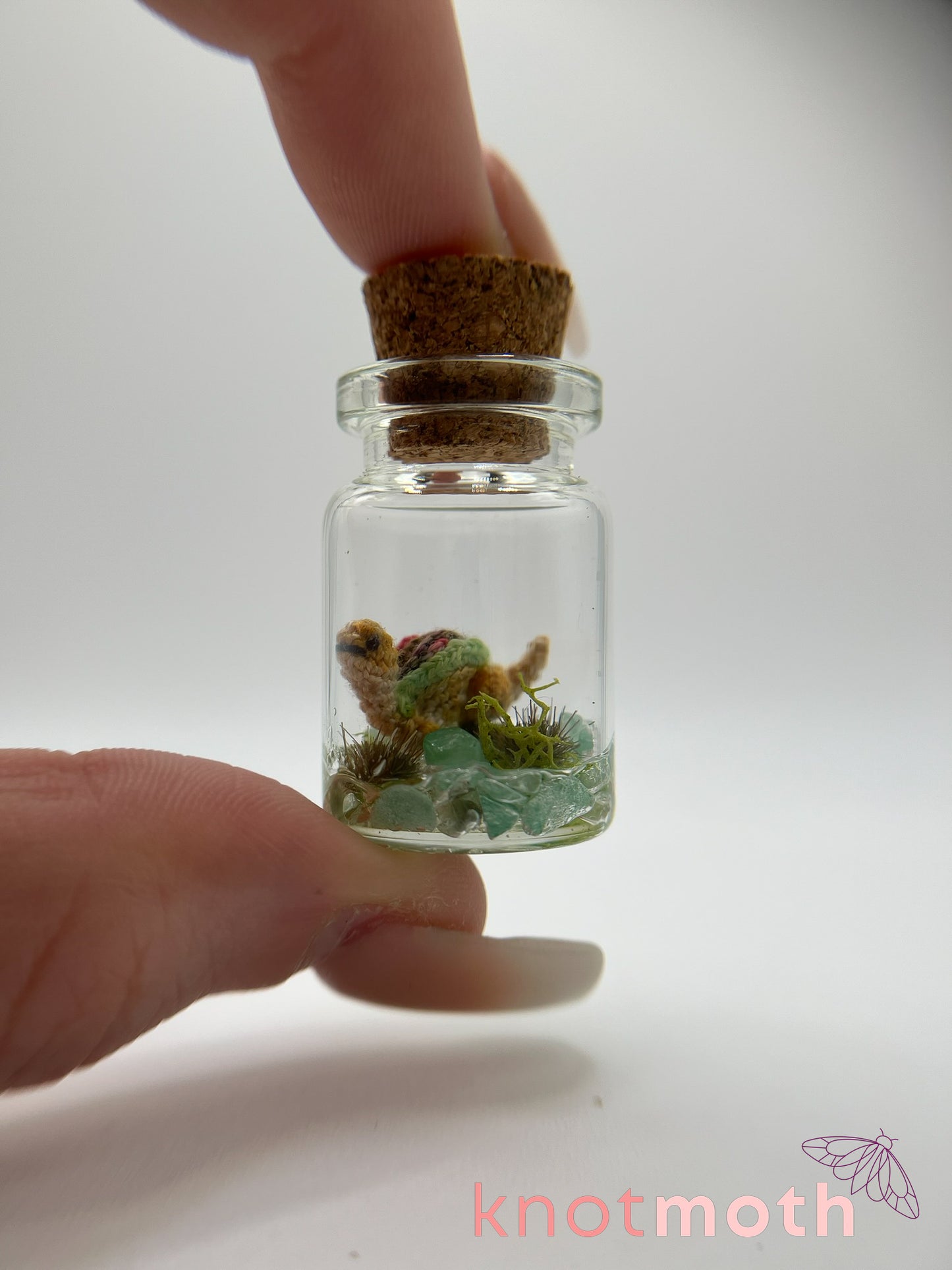 taquitosaurus micro crochet trinket jar