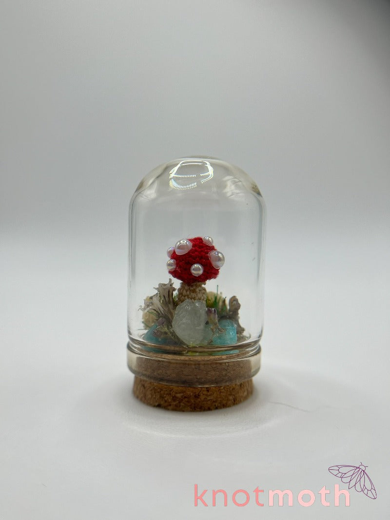 mushroom (pre-order)