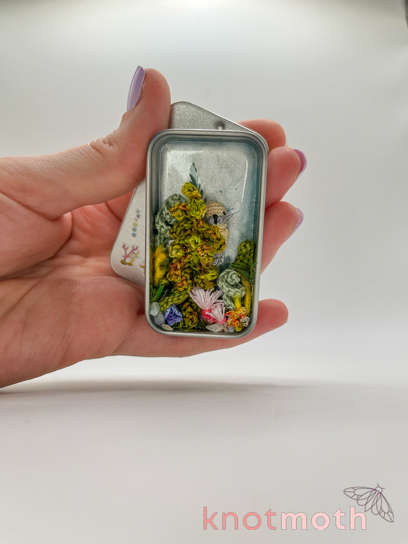 saxon seal · kelp forest mini tin