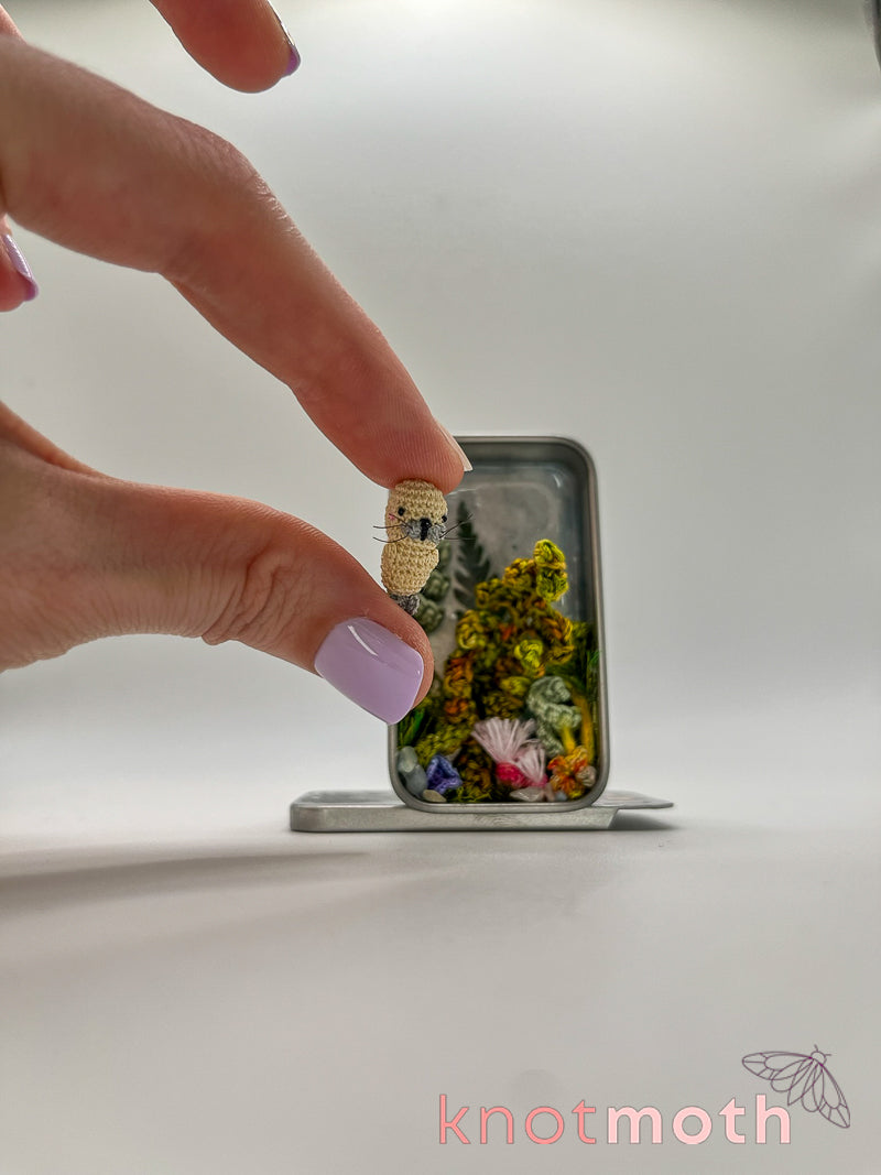 saxon seal · kelp forest mini tin