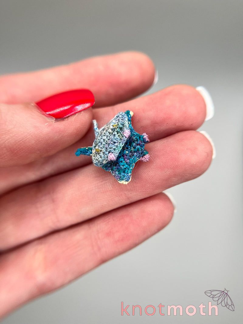 ray & pup kelp forest mini tin