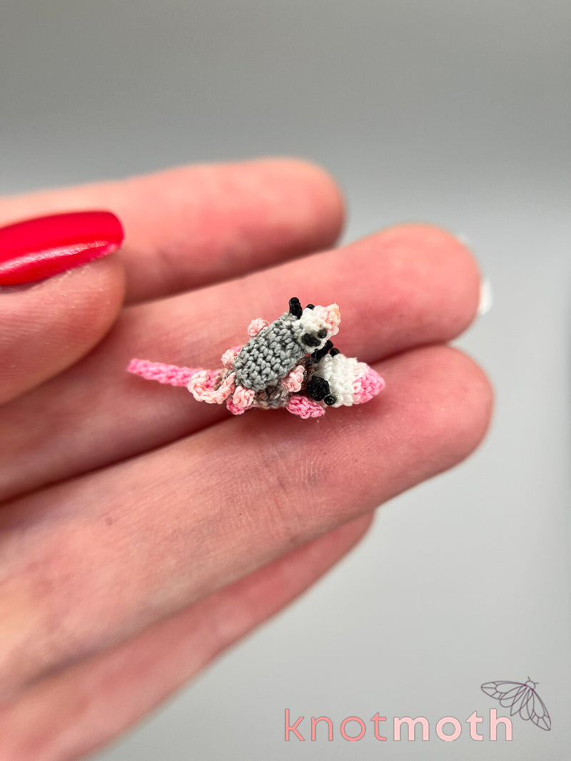 trash possums with pizza mini tin