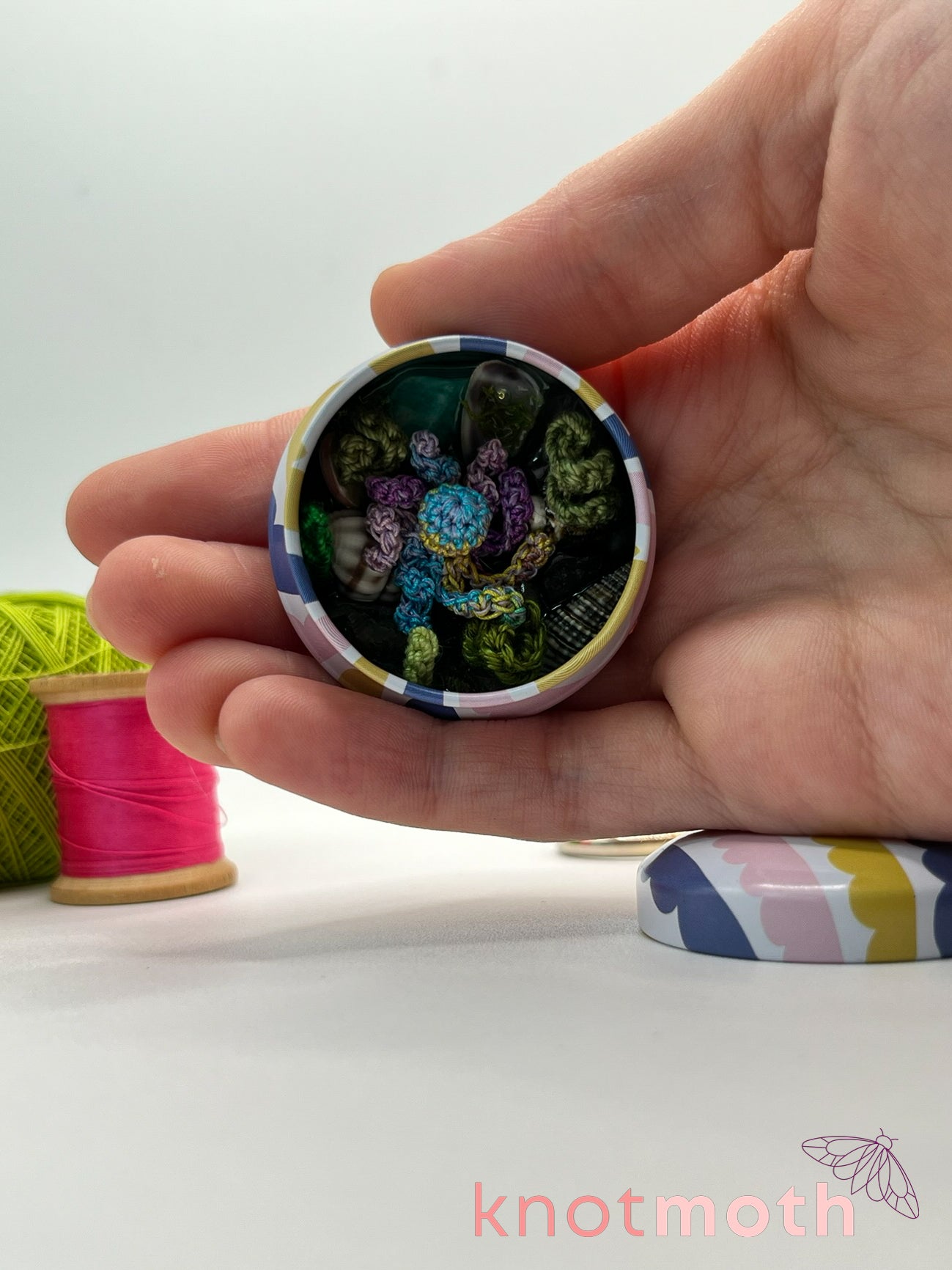 olesia octopus tide pool tin
