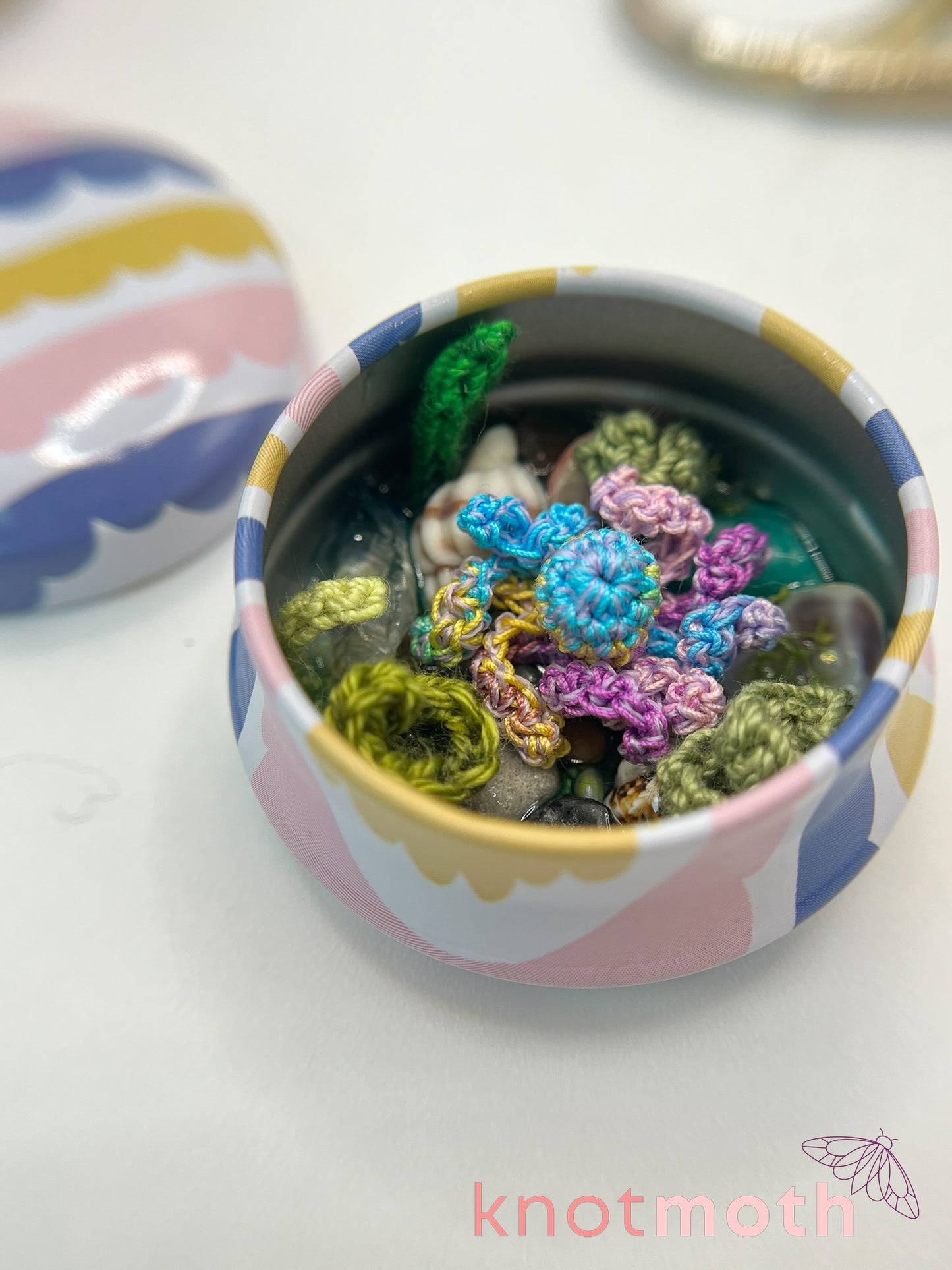 olesia octopus tide pool tin