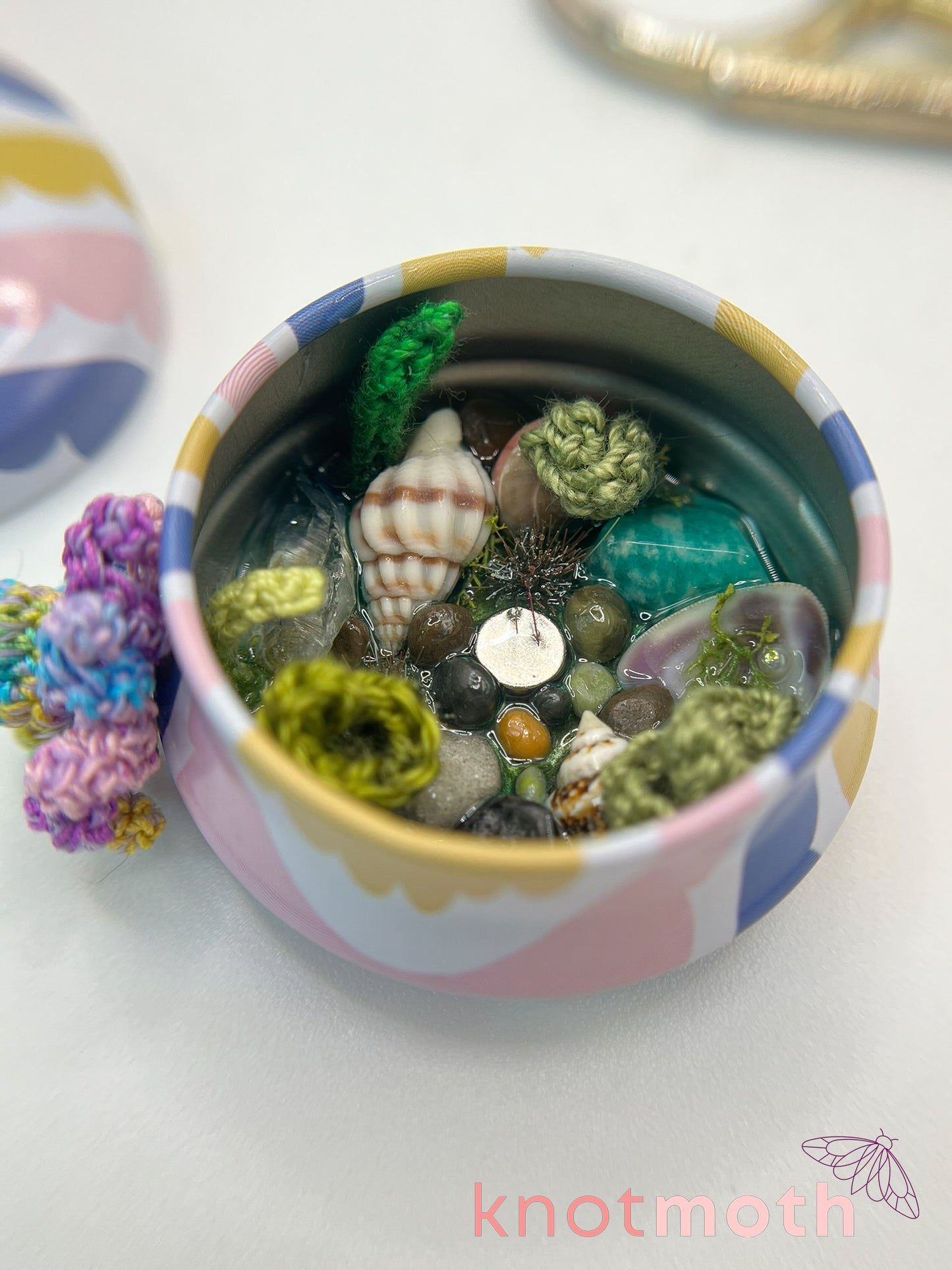olesia octopus tide pool tin
