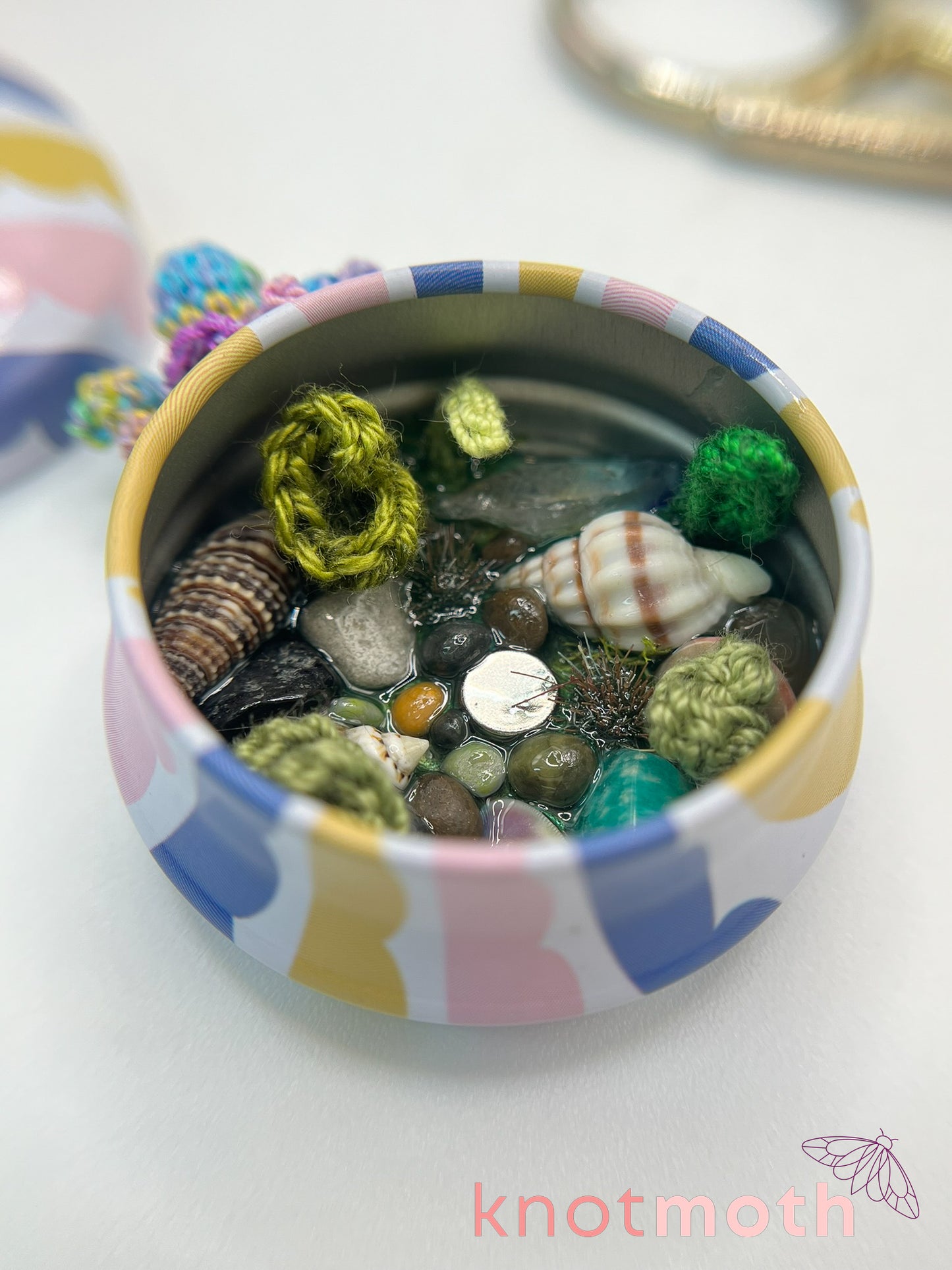 olesia octopus tide pool tin