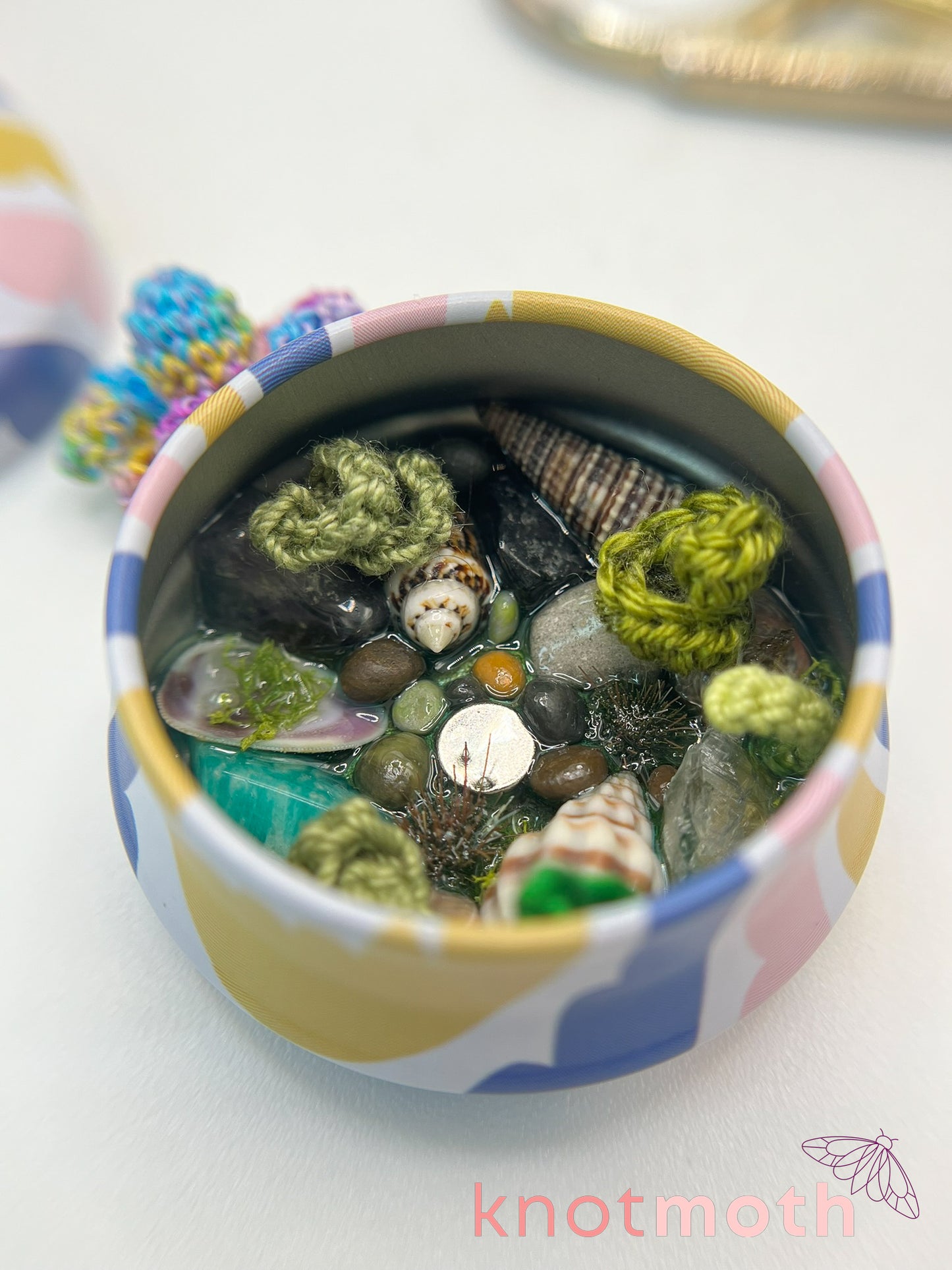 olesia octopus tide pool tin