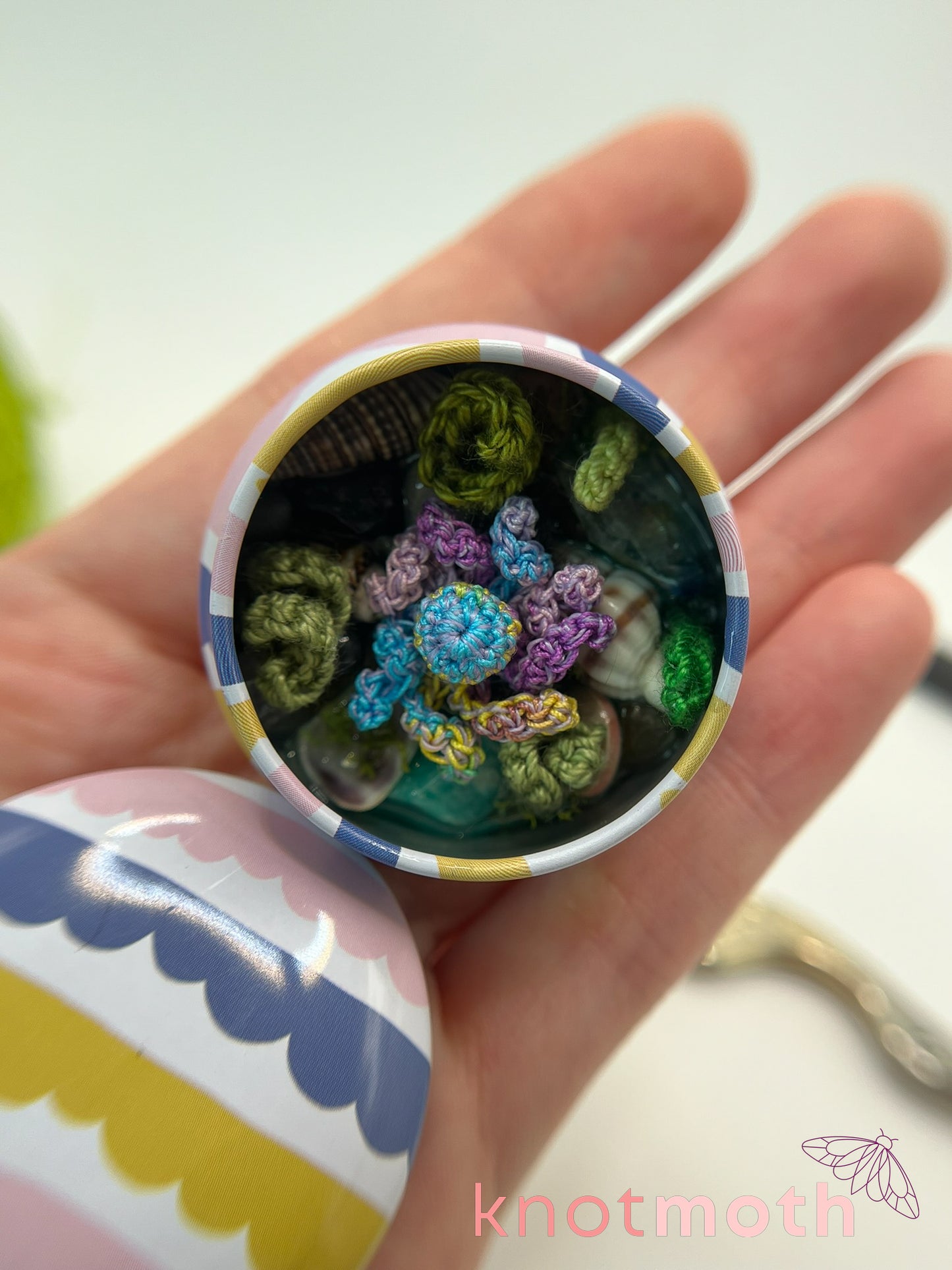 olesia octopus tide pool tin
