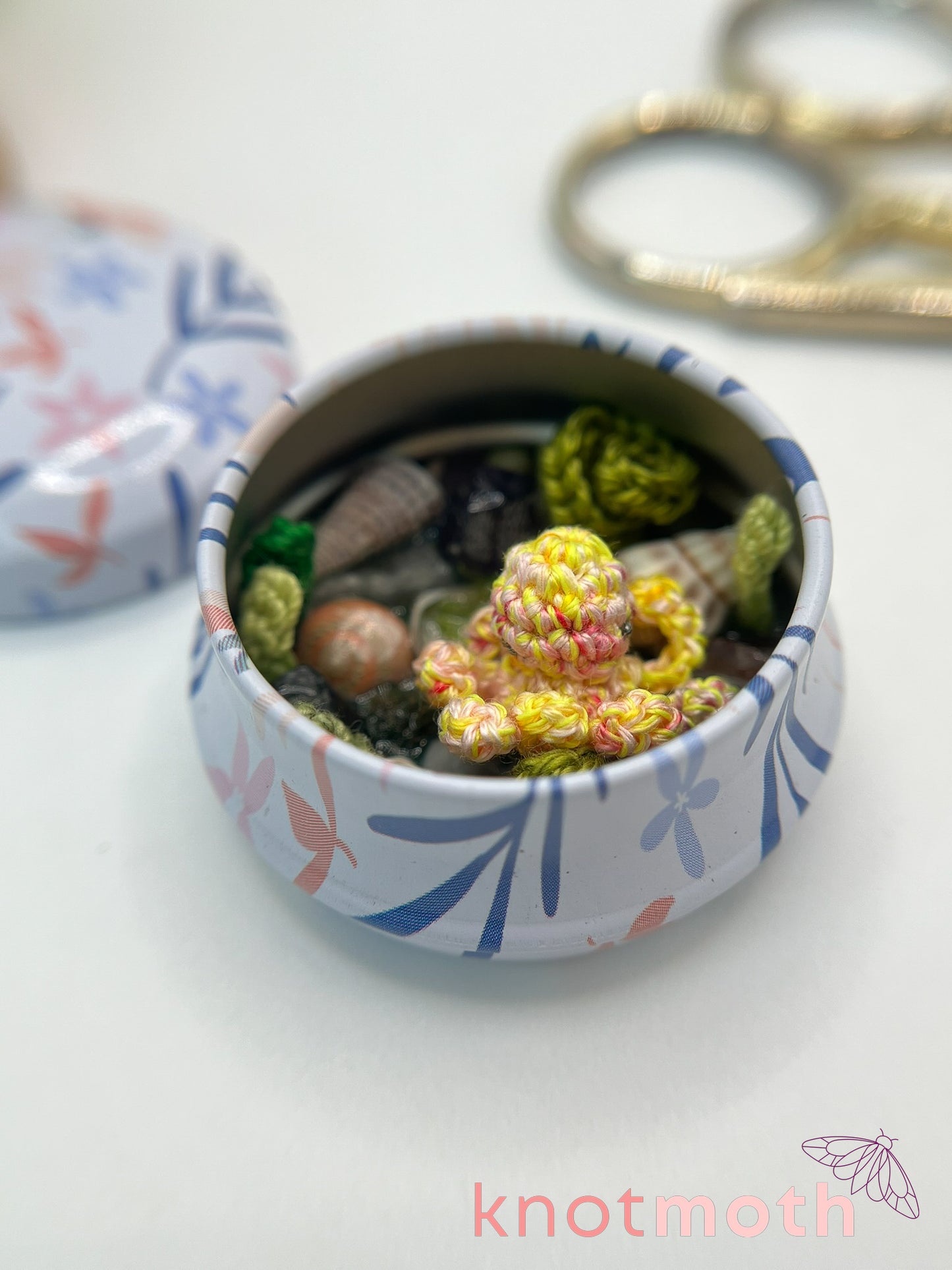 olivette octopus tide pool tin
