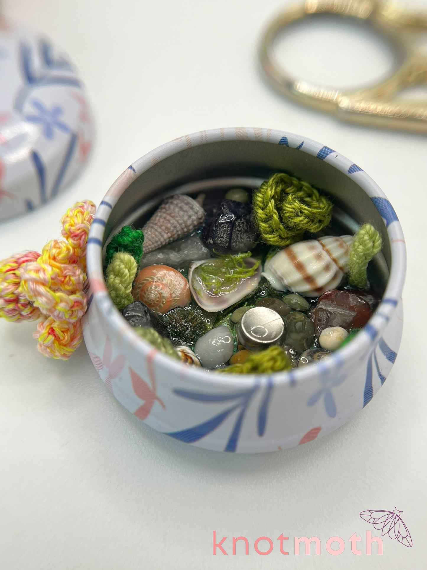olivette octopus tide pool tin