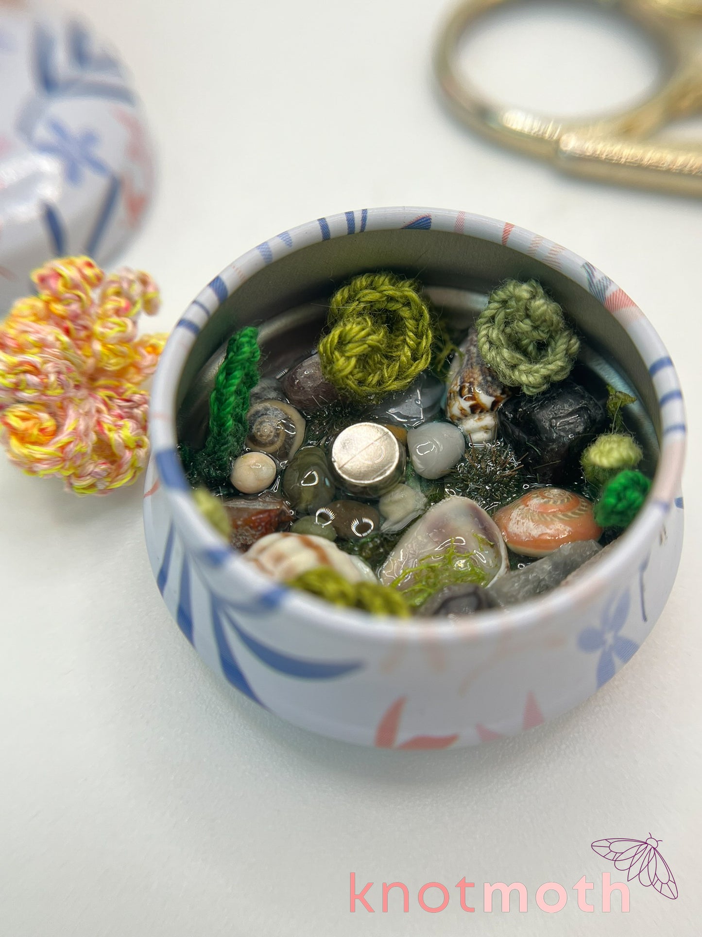 olivette octopus tide pool tin