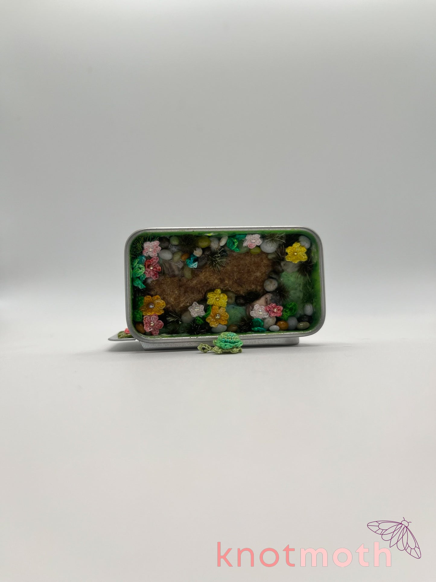 teddi turtle · daisy meadow mini tin