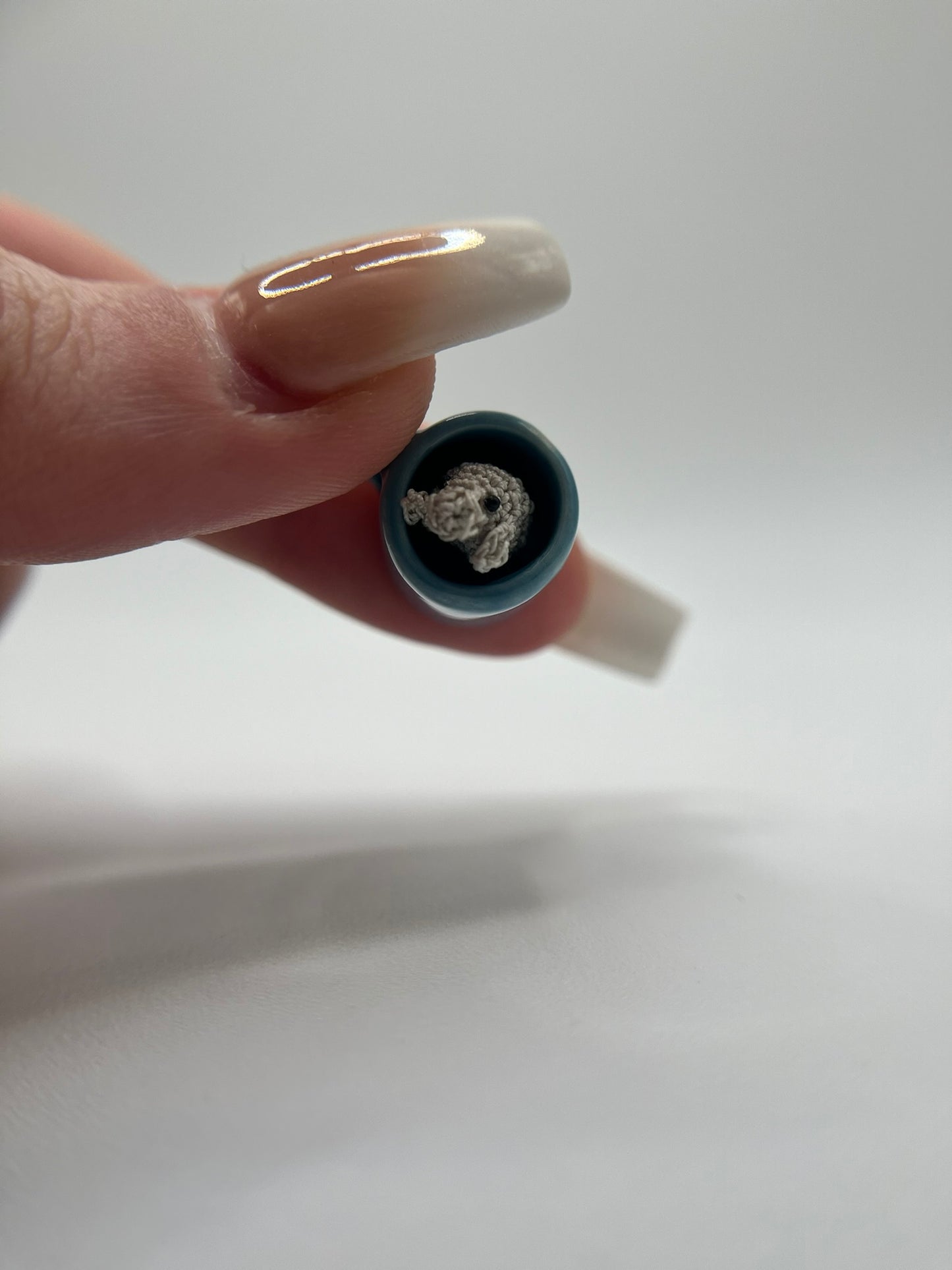 manatee (pre-order)