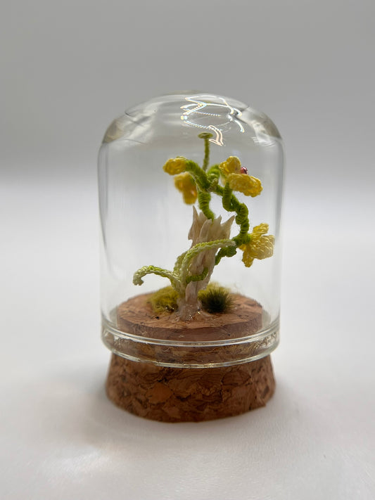 orchid & spine - micro-crochet dome jar