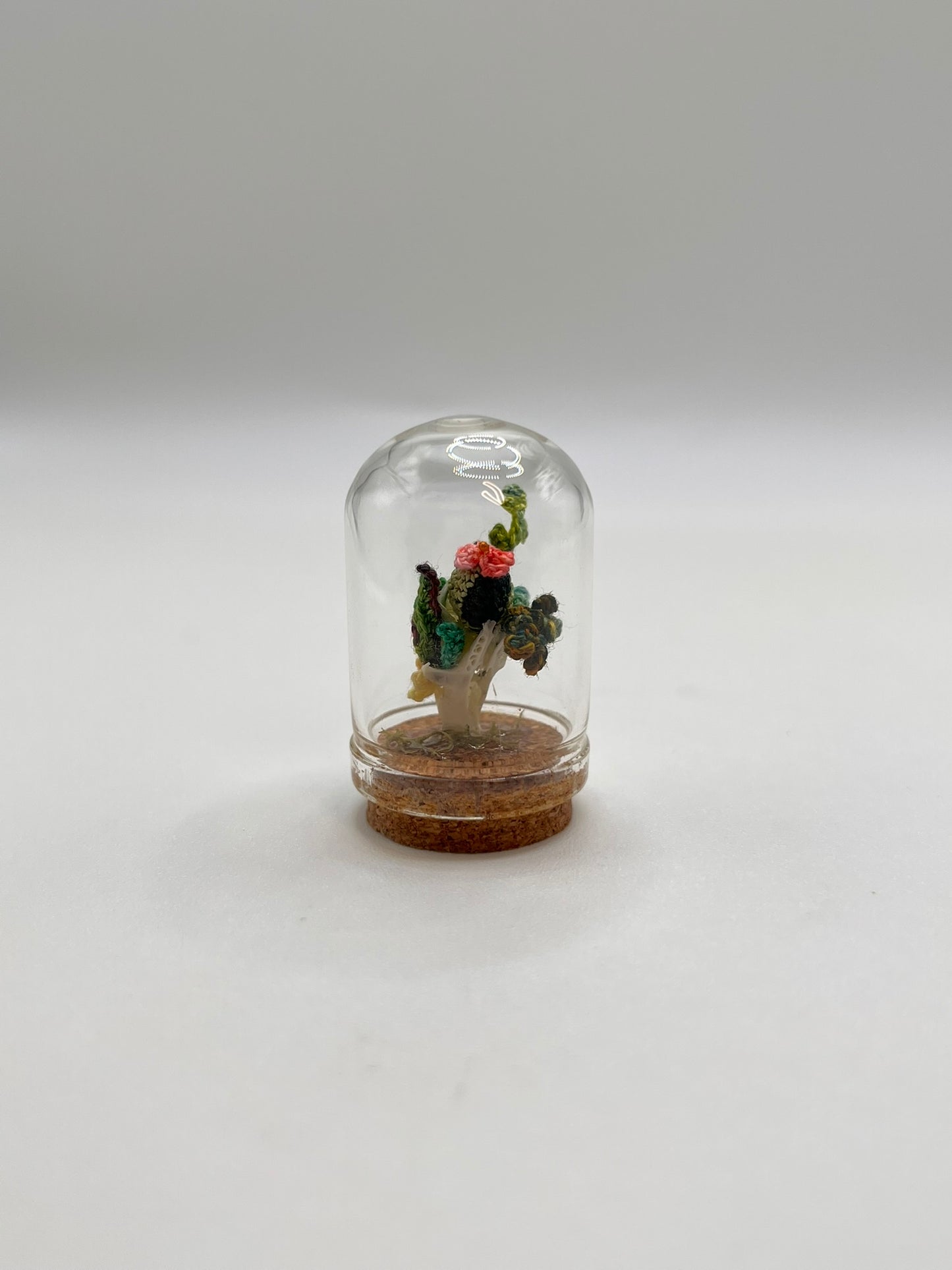 cacti & vines - micro-crochet dome mini jar